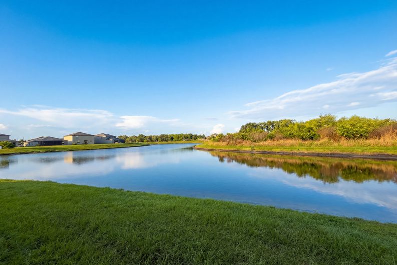 Photo 40 of 42 of 11849 Blackeyed Susan Dr, Riverview, FL