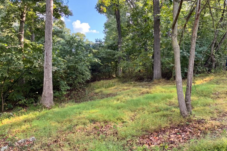 Photo 21 of 23 of 816 Hilltop Ln, Mount Jackson, VA