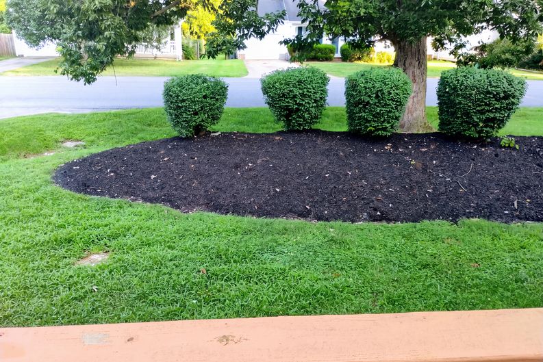 Photo 41 of 61 of 2950 Baby Ruth Ln, Antioch, TN