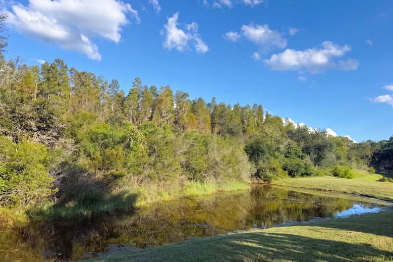 Photo 31 of 36 of 12424 Belcroft Dr, Riverview, FL