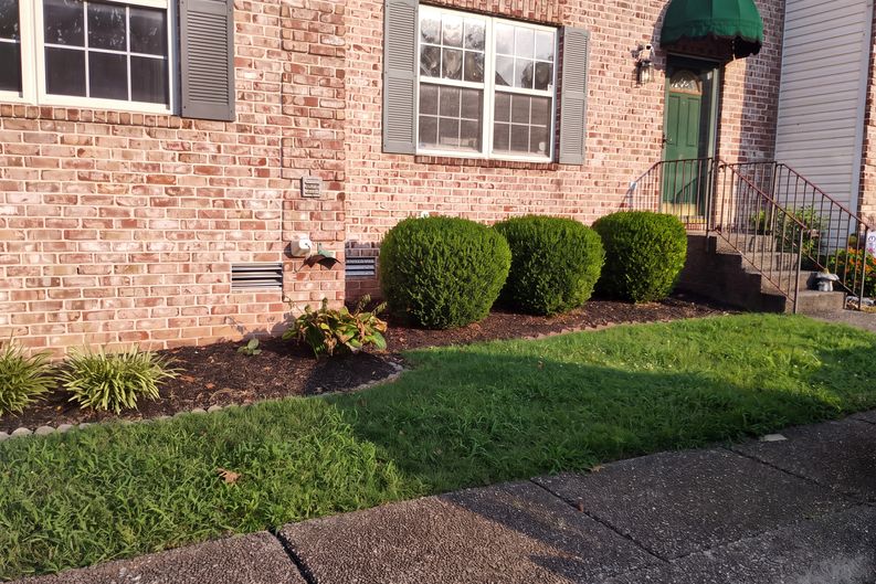 Photo 53 of 61 of 2950 Baby Ruth Ln, Antioch, TN