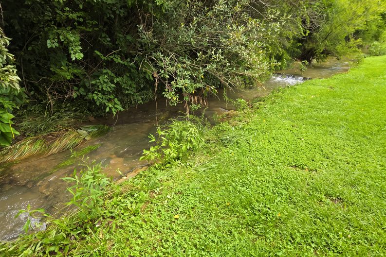 Photo 16 of 24 of 1317 Twin Brook Dr, Berea, KY