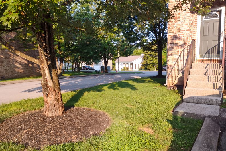 Photo 47 of 61 of 2950 Baby Ruth Ln, Antioch, TN
