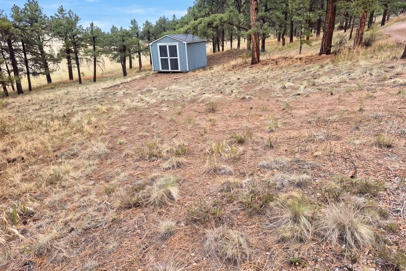 Photo 14 of 17 of 113 Blackberry Ct, Westcliffe, CO