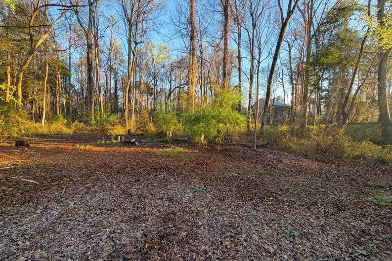 Photo 16 of 18 of 729 E Ivy Valley Dr, Fuquay Varina, NC