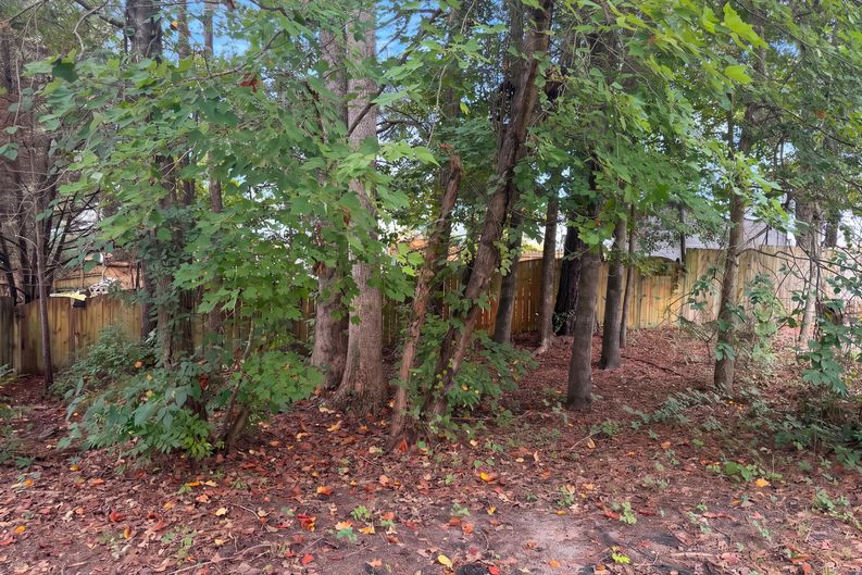 Photo 17 of 19 of 2308 Brasstown Ln, Apex, NC