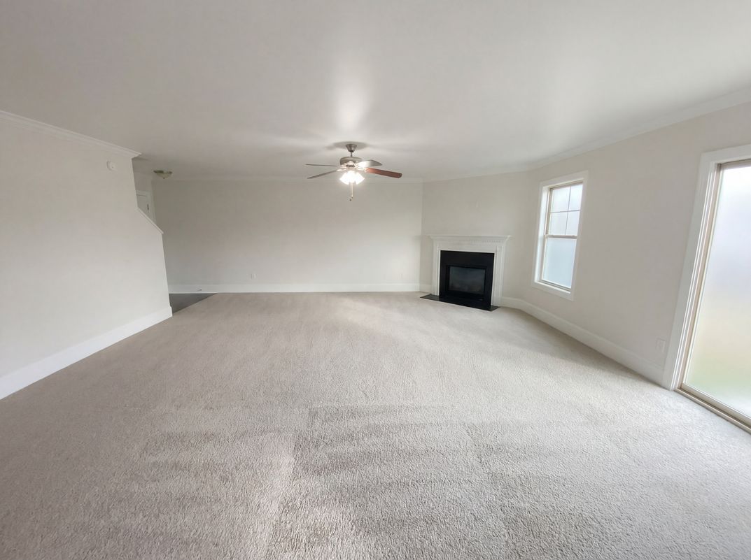 Property photo 3 of 243 Meadow Saffron Dr