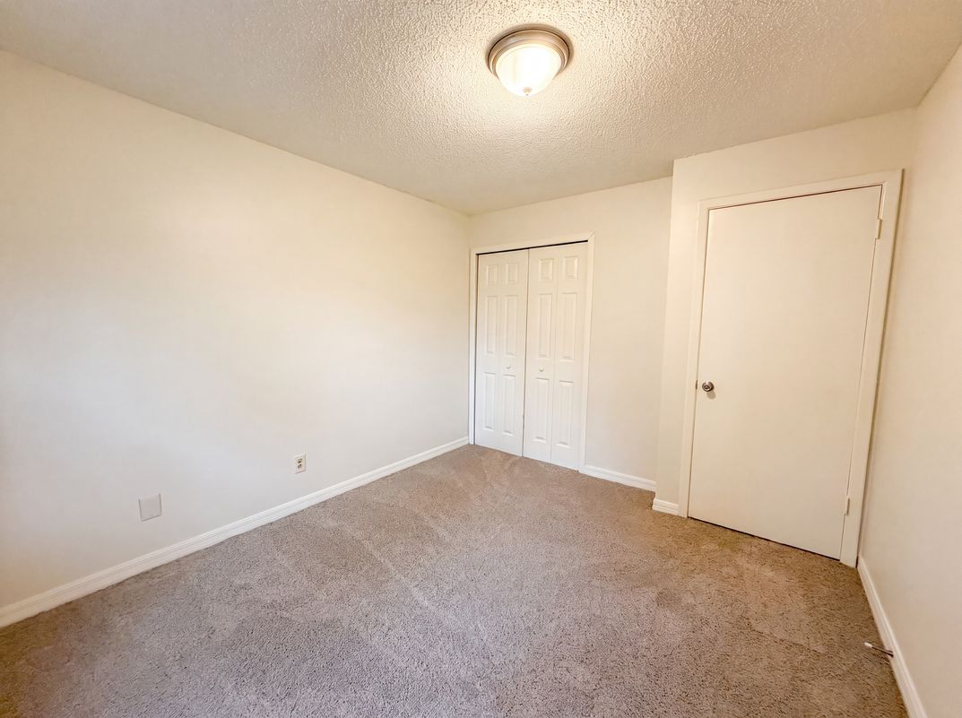 Photo 12 of 20 of 4209 E Alene Dr, Tampa, FL
