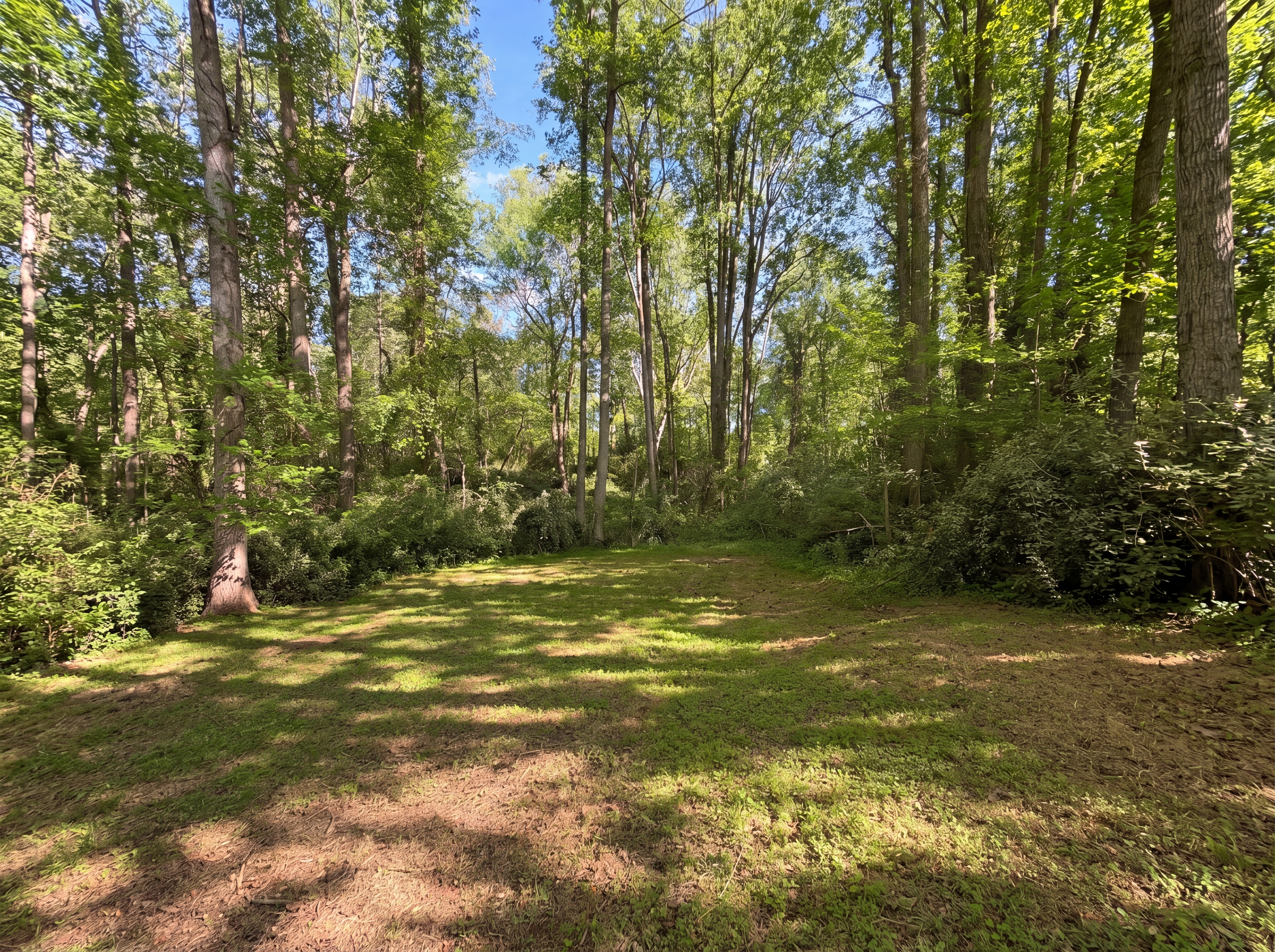 Photo 17 of 19 of 272 Wolfe Ln, Inman, SC