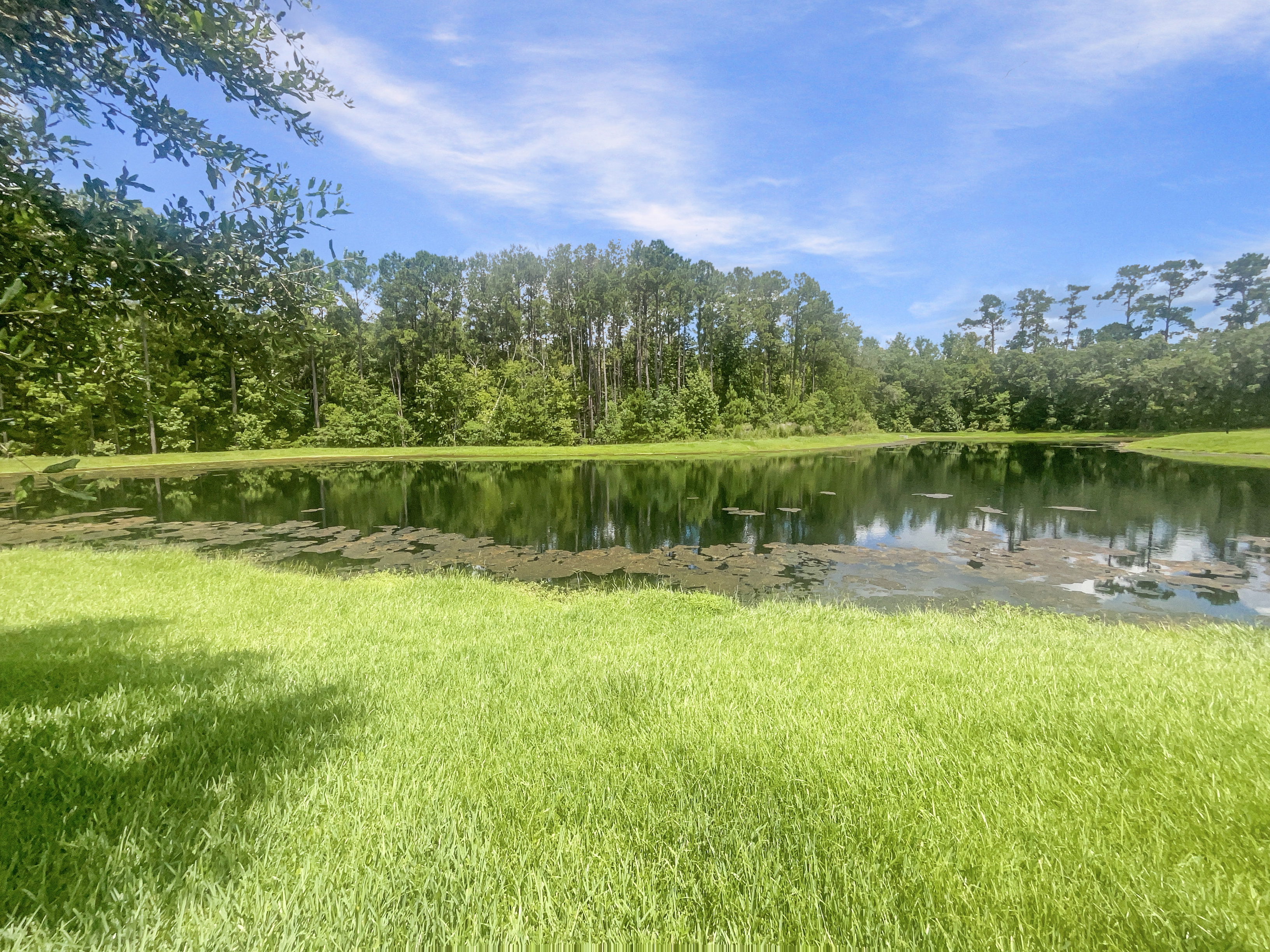 Photo 21 of 22 of 3106 Angora Bay Dr, Middleburg, FL