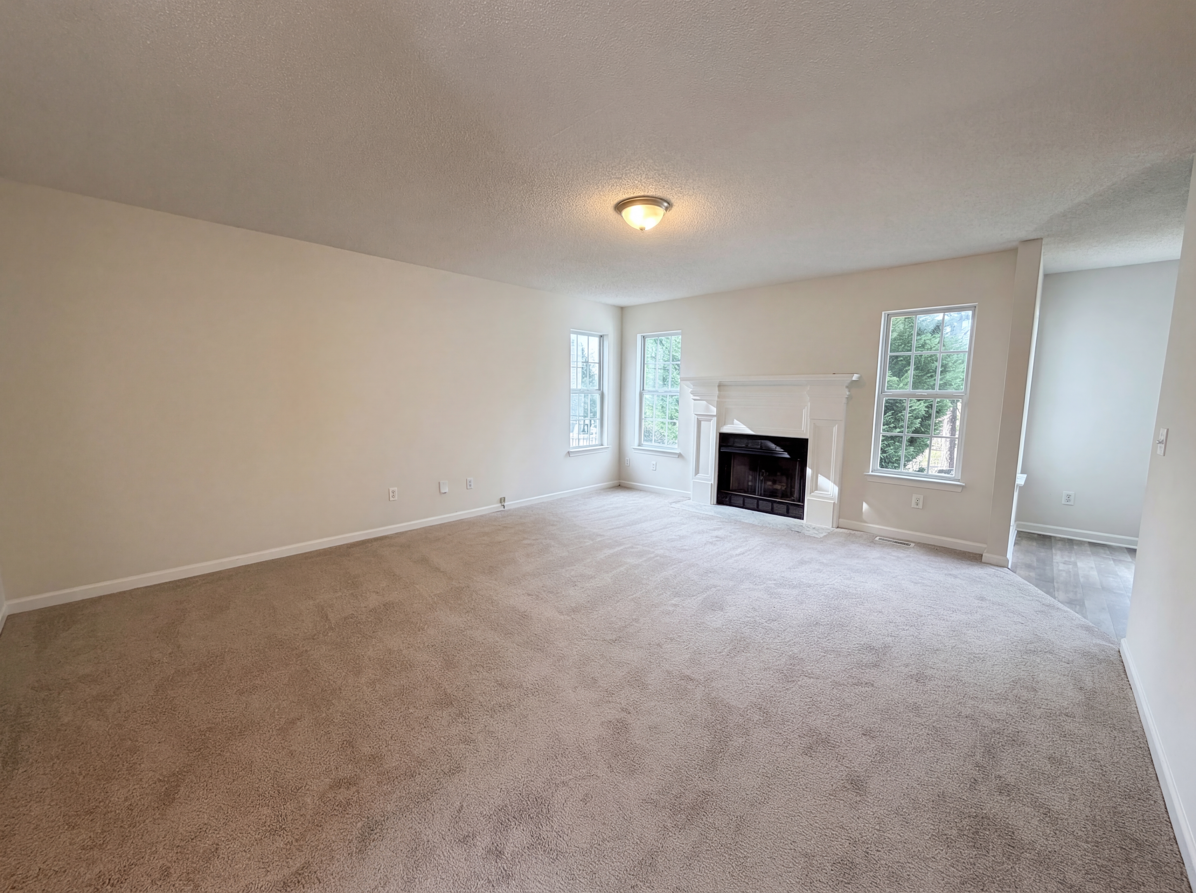 Photo 3 of 23 of 217 Branchview Dr, Columbia, SC