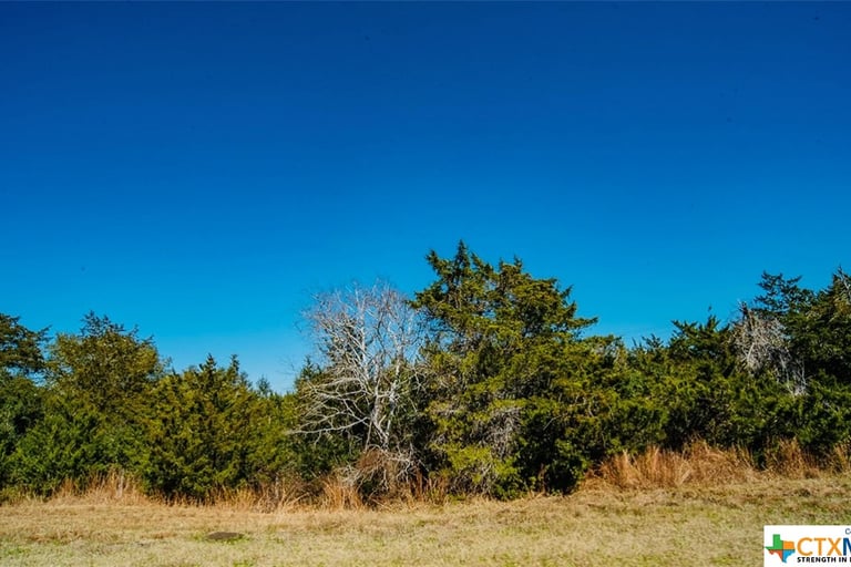 Tbd County Road 417, Yoakum, TX 77995 Opendoor