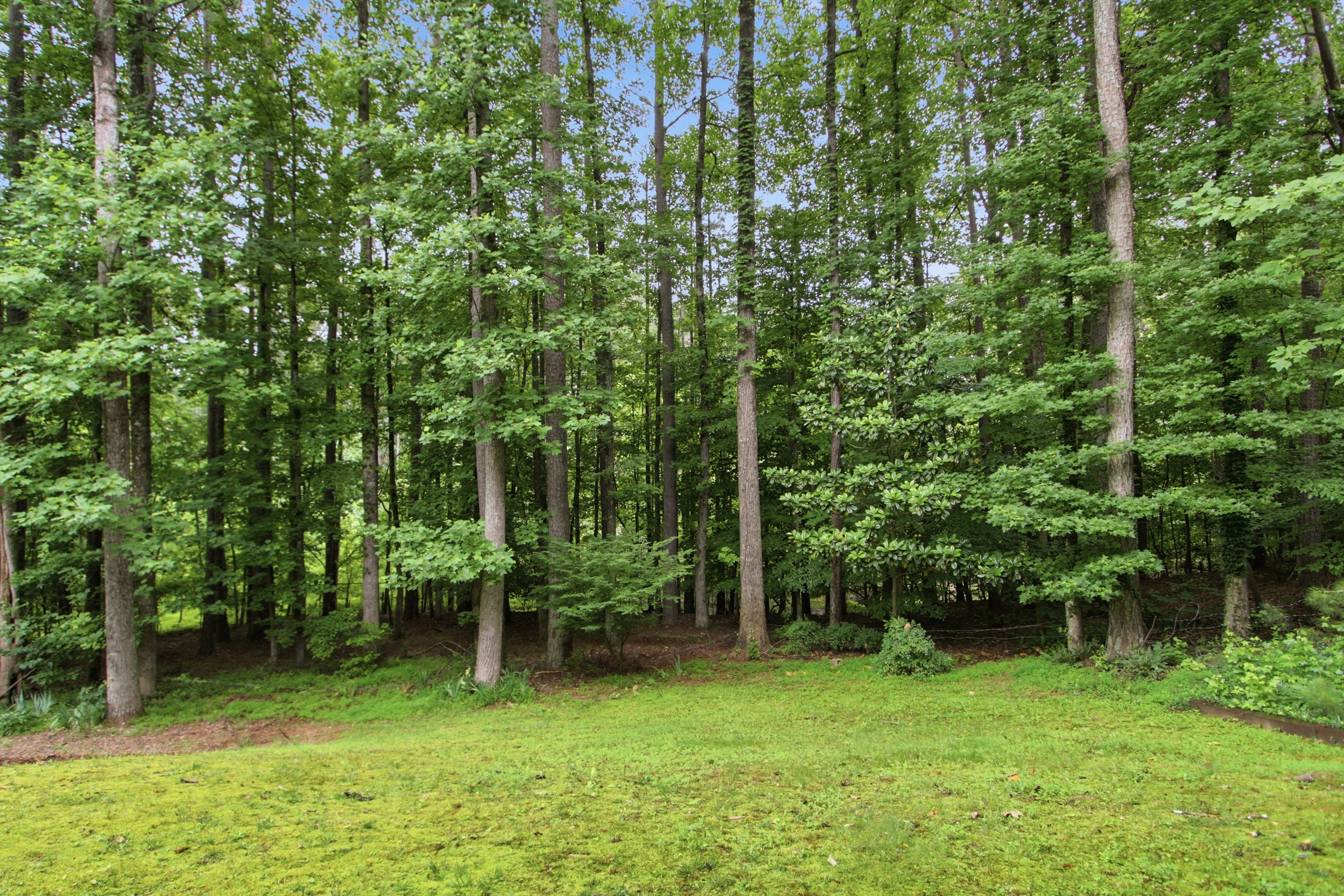Photo 44 of 47 of 11715 Dunhill Place Dr, Johns Creek, GA