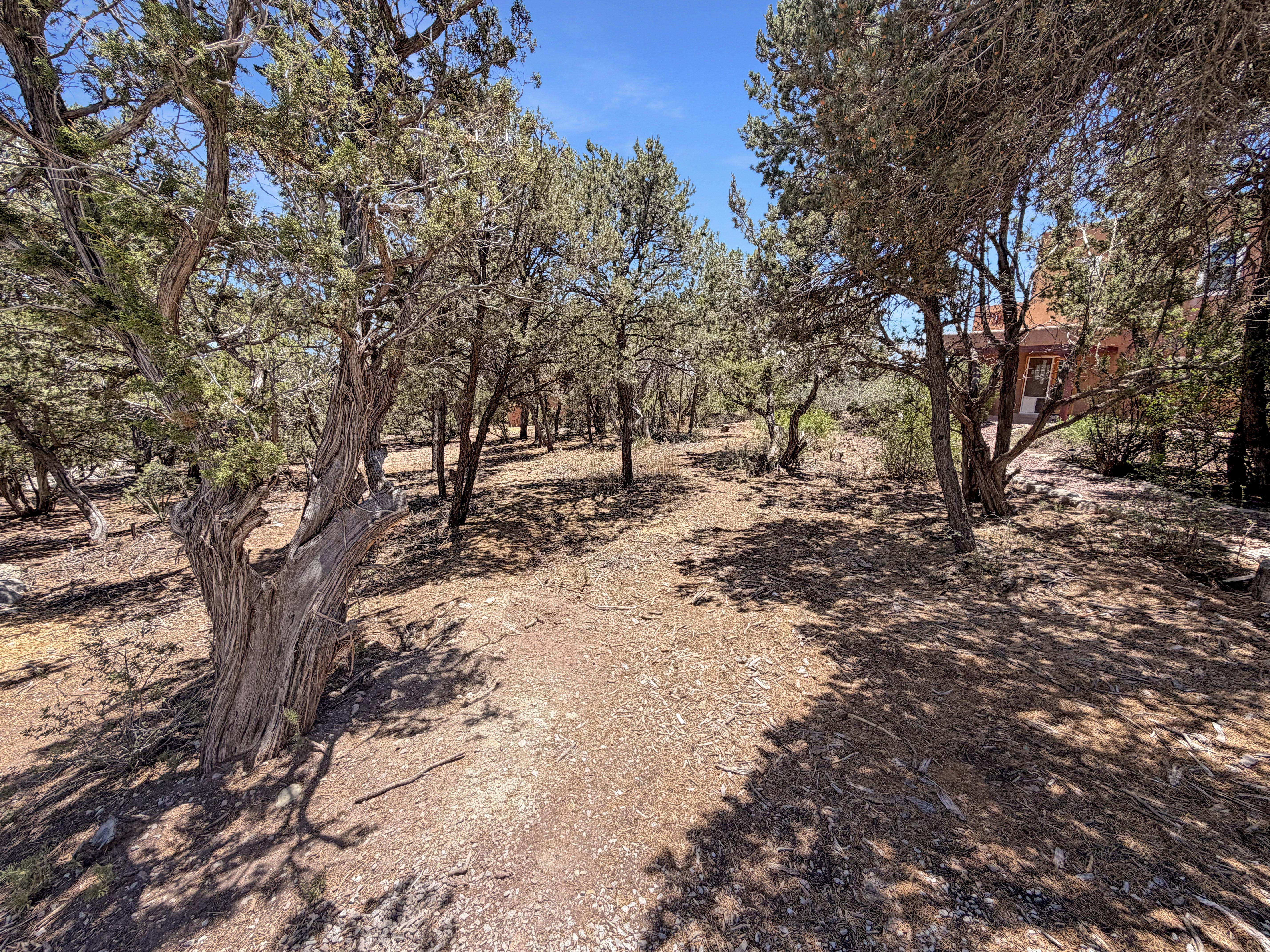 Photo 7 of 20 of 16 Erin Ln, Tijeras, NM