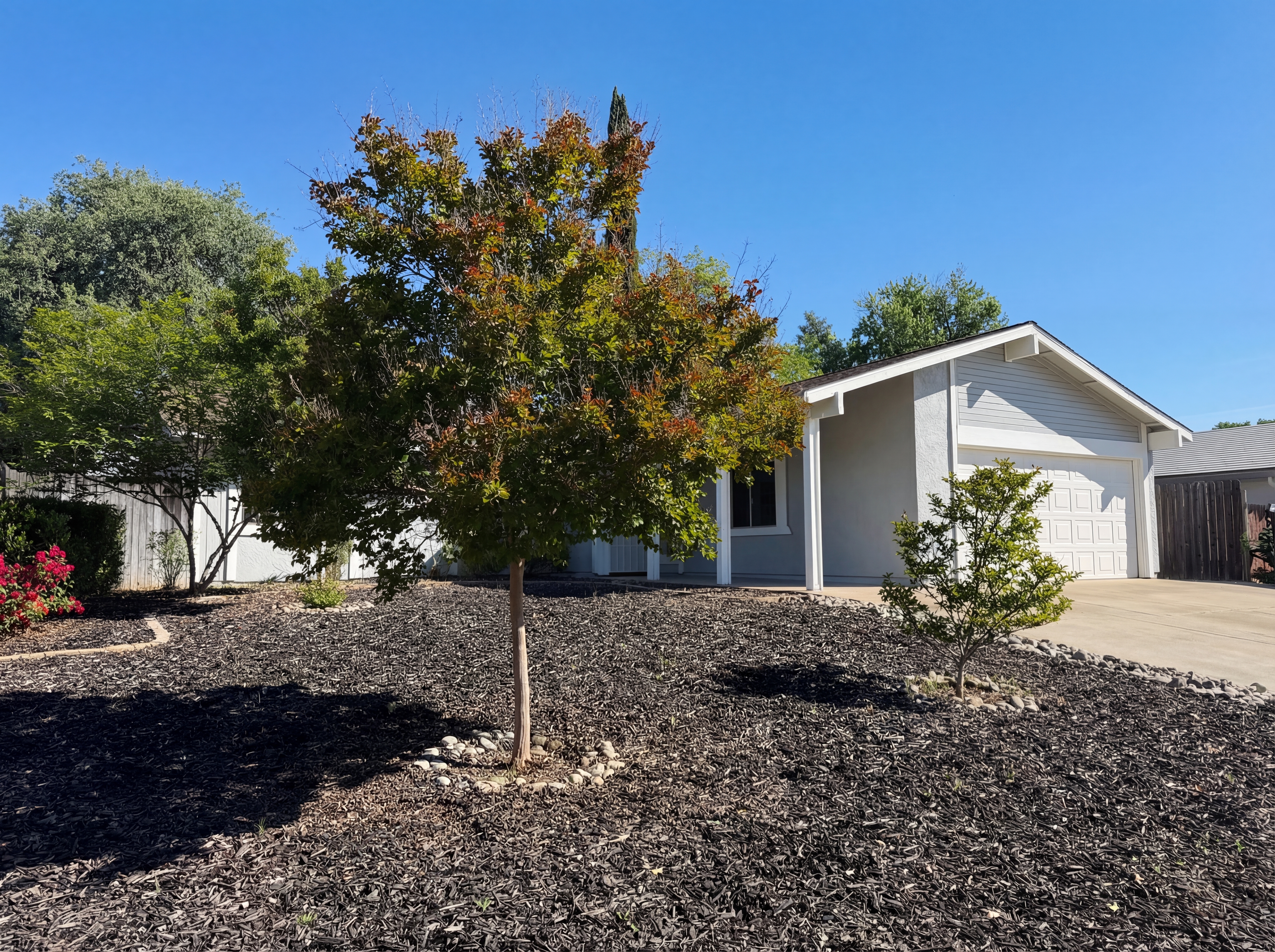 Photo 8 of 34 of 6909 Kittery Ave, Citrus Heights, CA