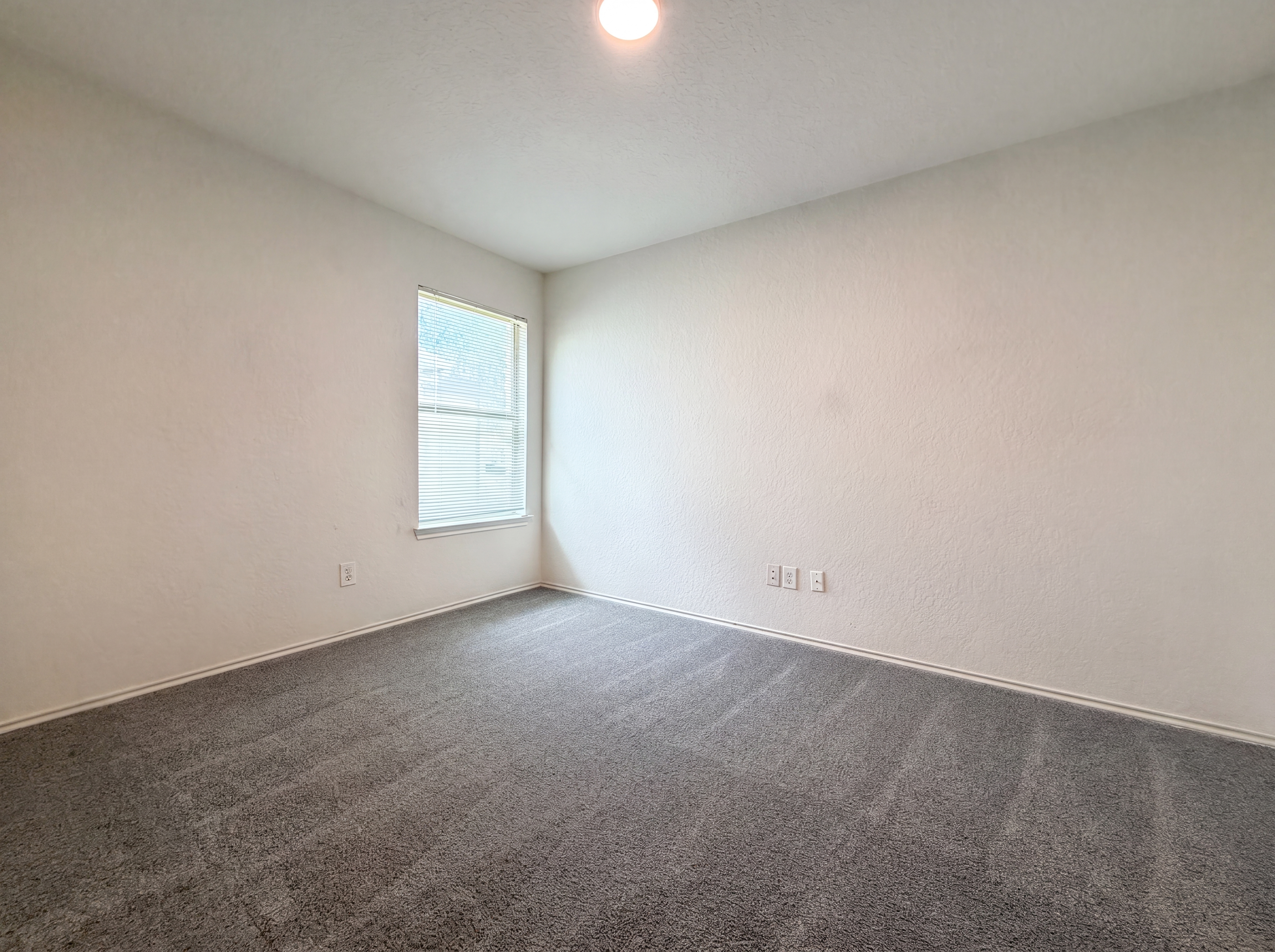 Photo 8 of 15 of 361 Saddlehorn Way, Cibolo, TX