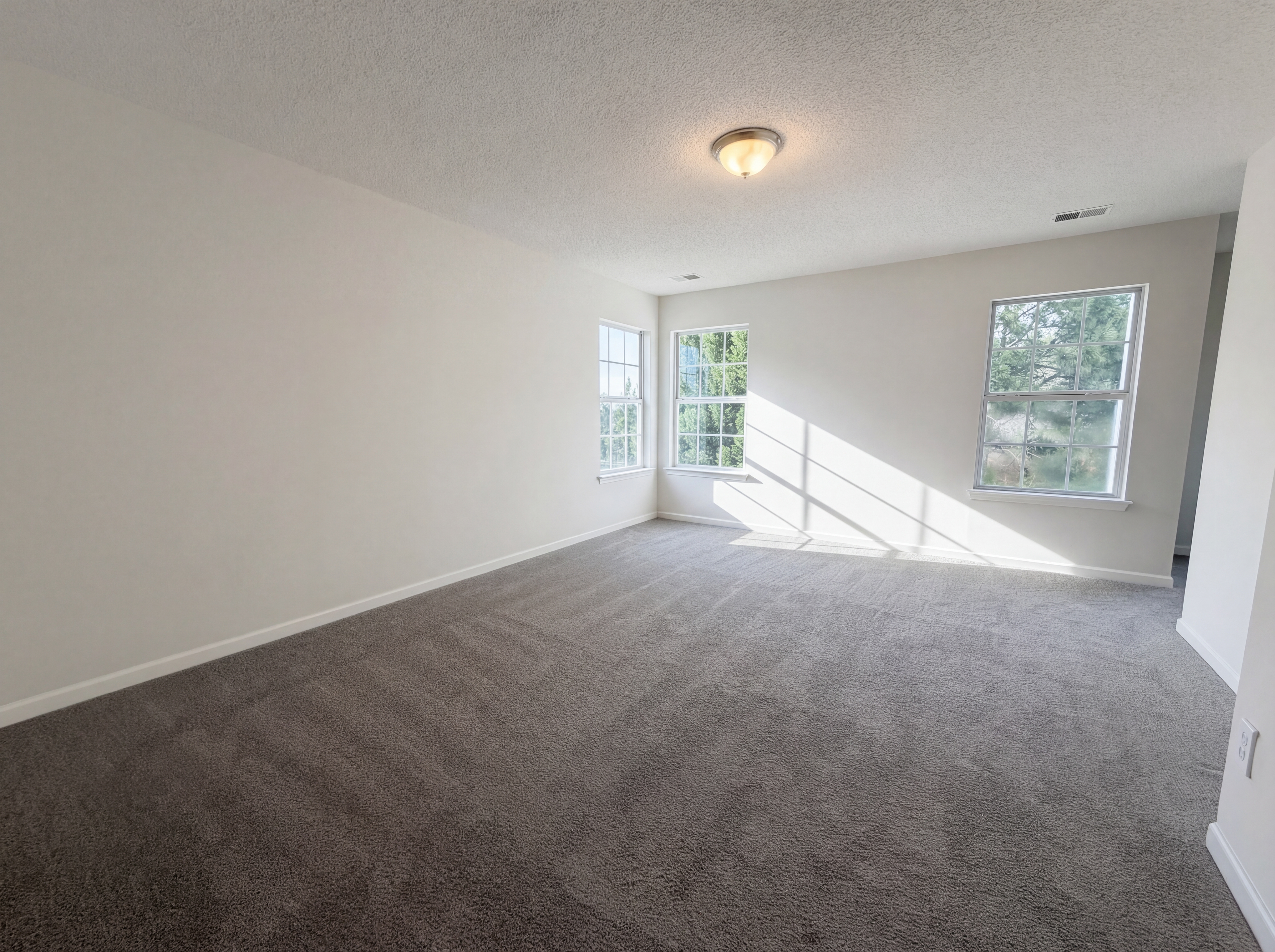 Photo 4 of 23 of 217 Branchview Dr, Columbia, SC