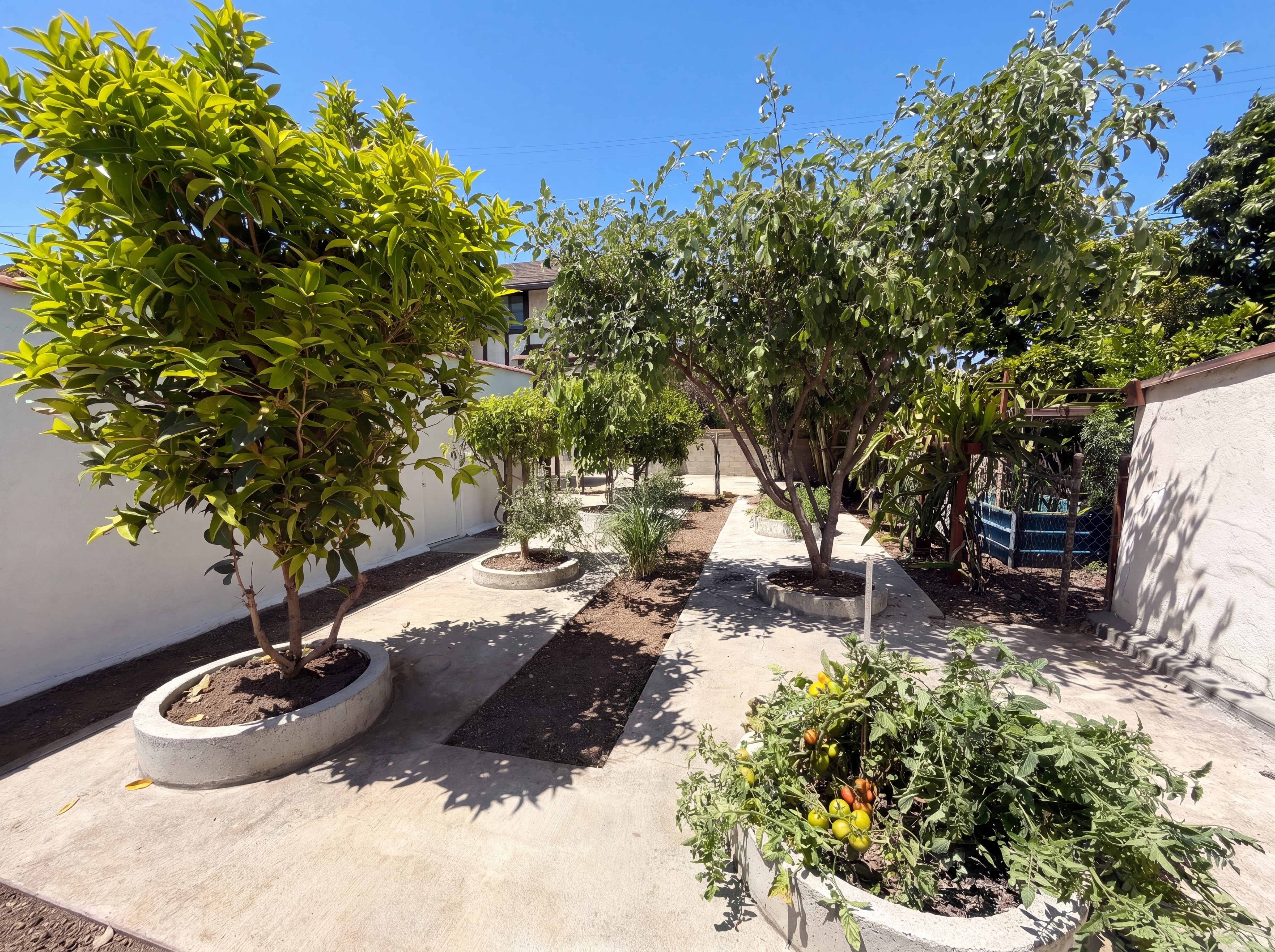 Photo 27 of 31 of 817 S 9th St, Alhambra, CA