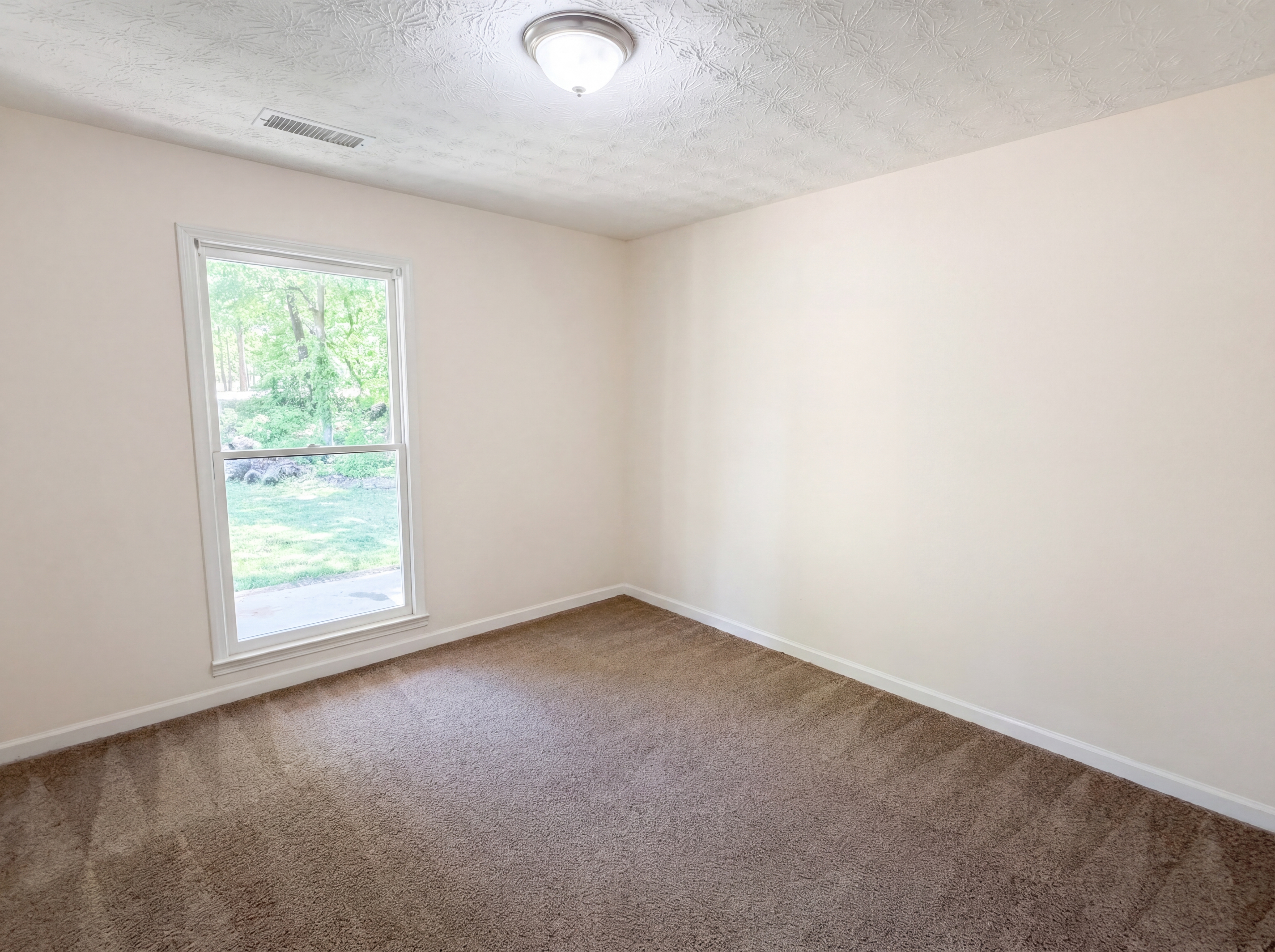 Photo 11 of 22 of 213 Carl Parker Rd, Hampton, GA