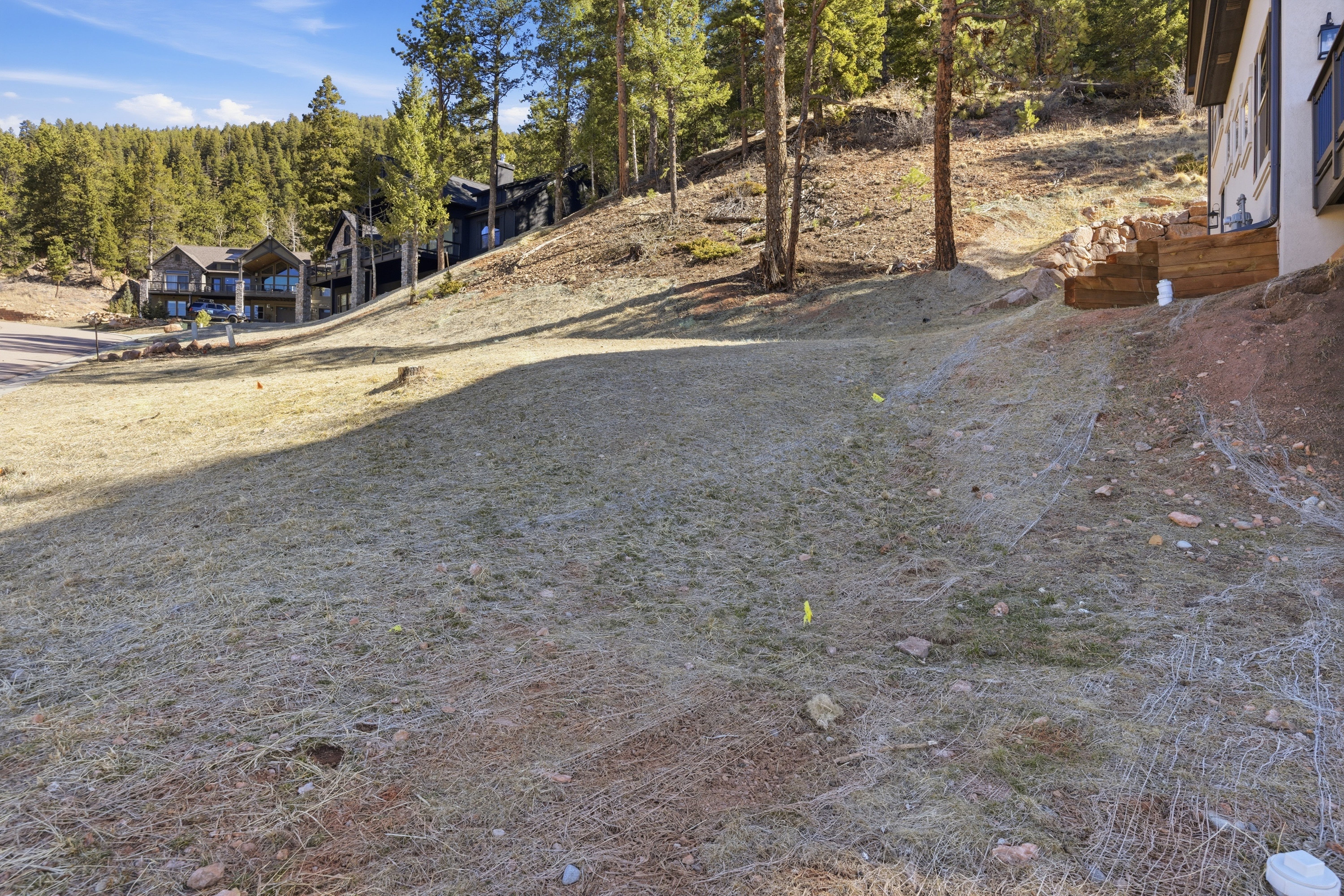 Photo 8 of 47 of 1015 Locklin Way, Woodland Park, CO