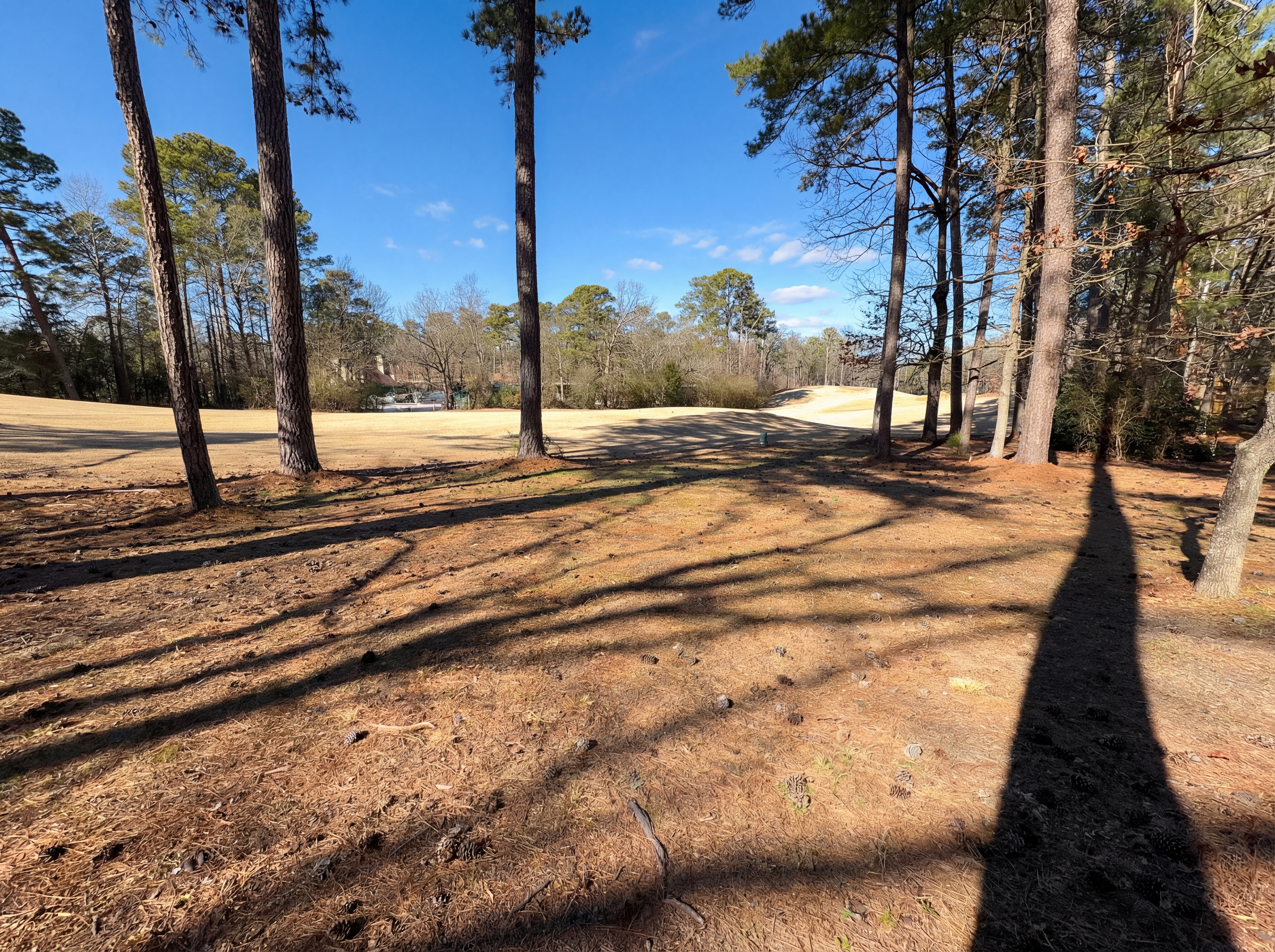 Photo 21 of 23 of 5048 Kerry Downs Rd, Hoover, AL