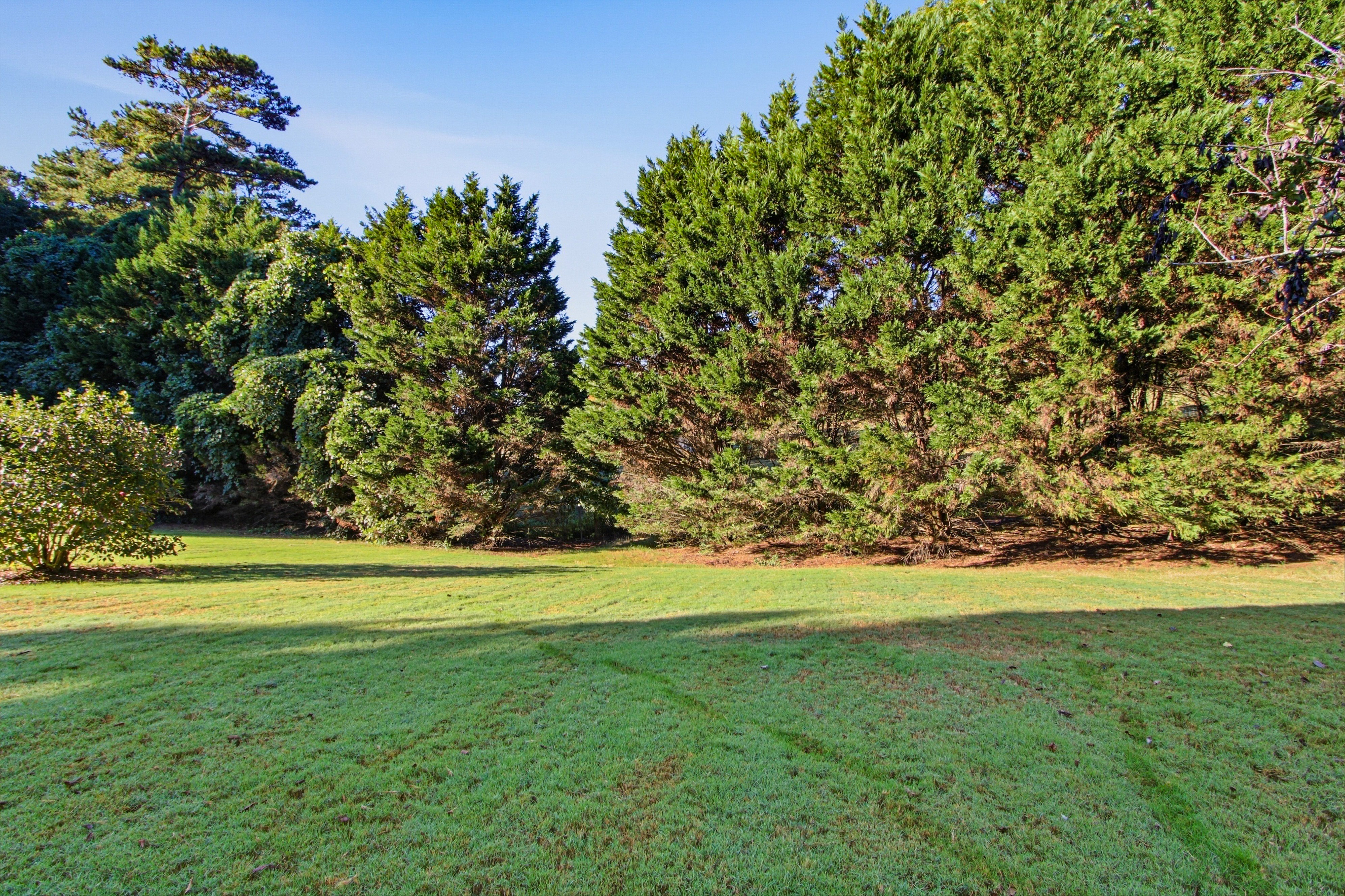 Photo 40 of 54 of 807 Caleb Dr, Winder, GA