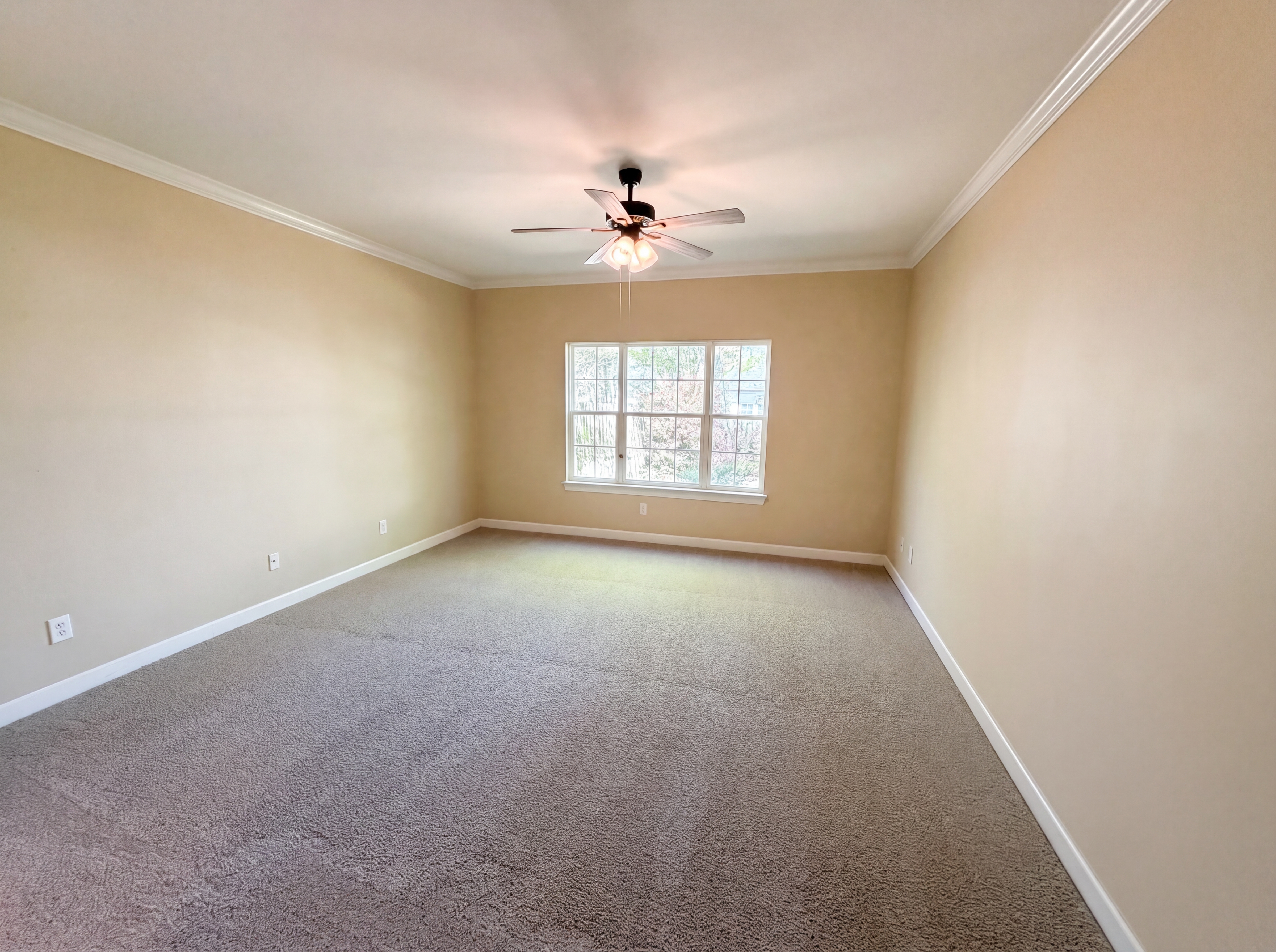 Photo 4 of 28 of 116 Stonemill Ct, Irmo, SC