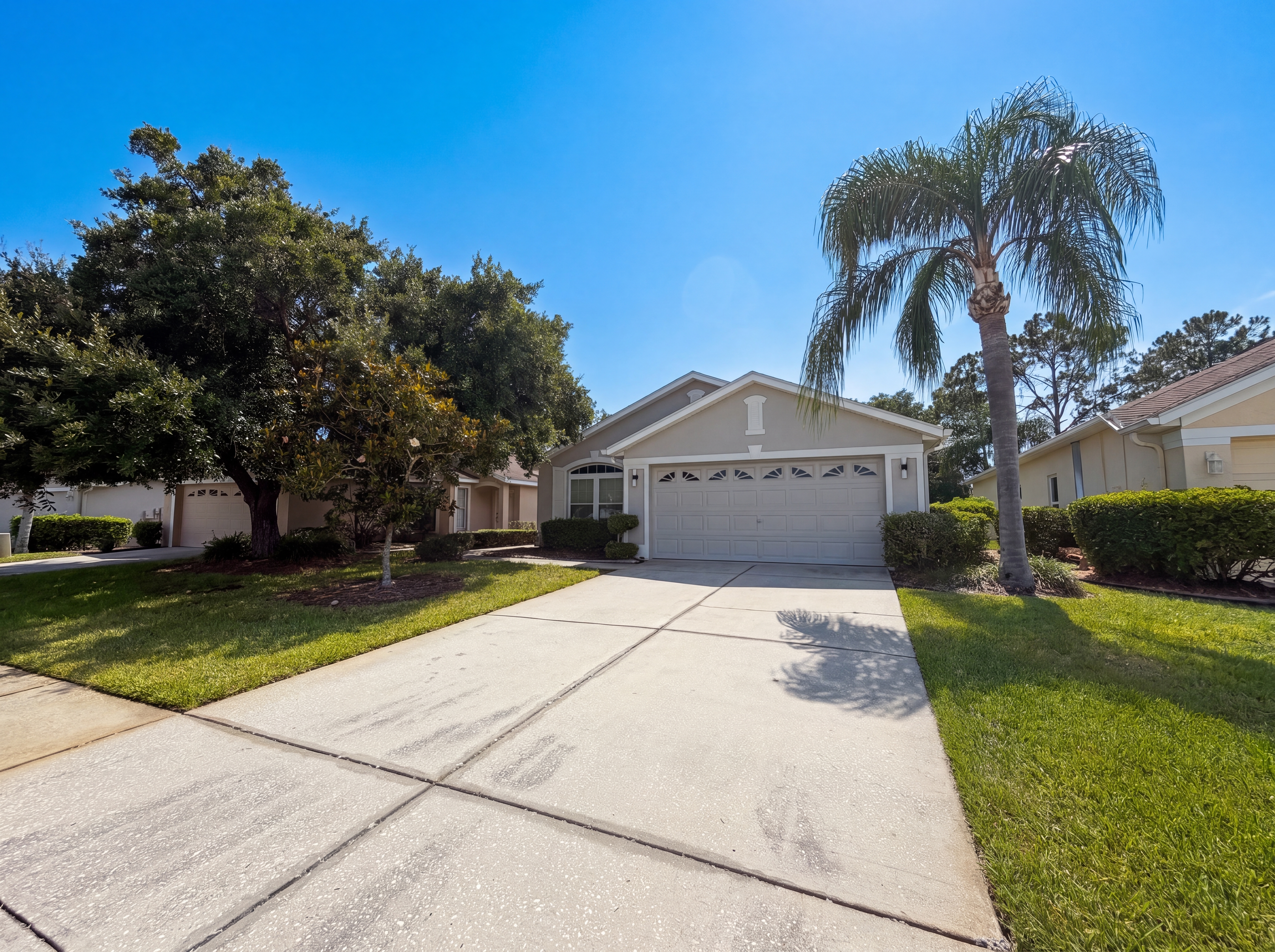 Photo 13 of 18 of 3133 Banyan Hill Ln, Land O Lakes, FL