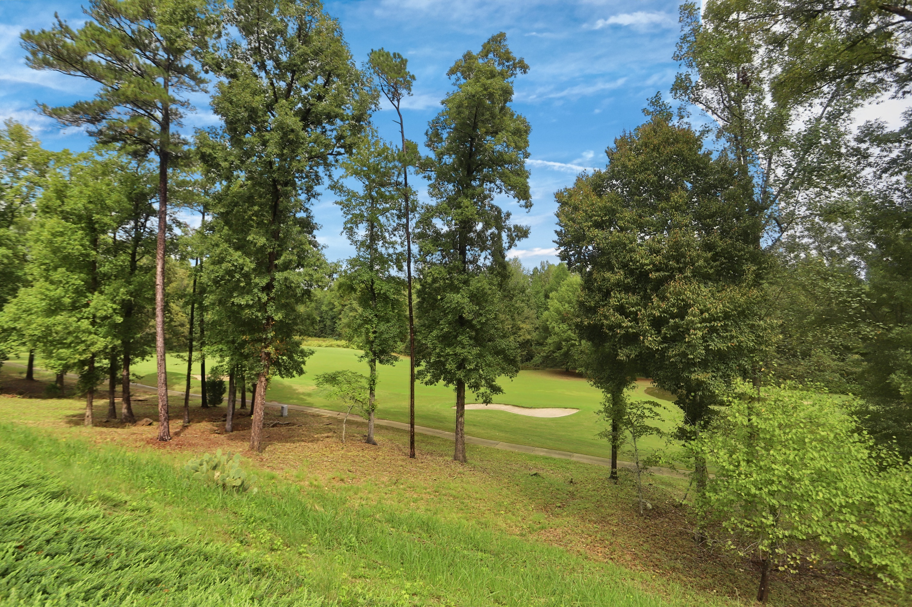 Photo 43 of 46 of 443 Tallulah Dr, Griffin, GA