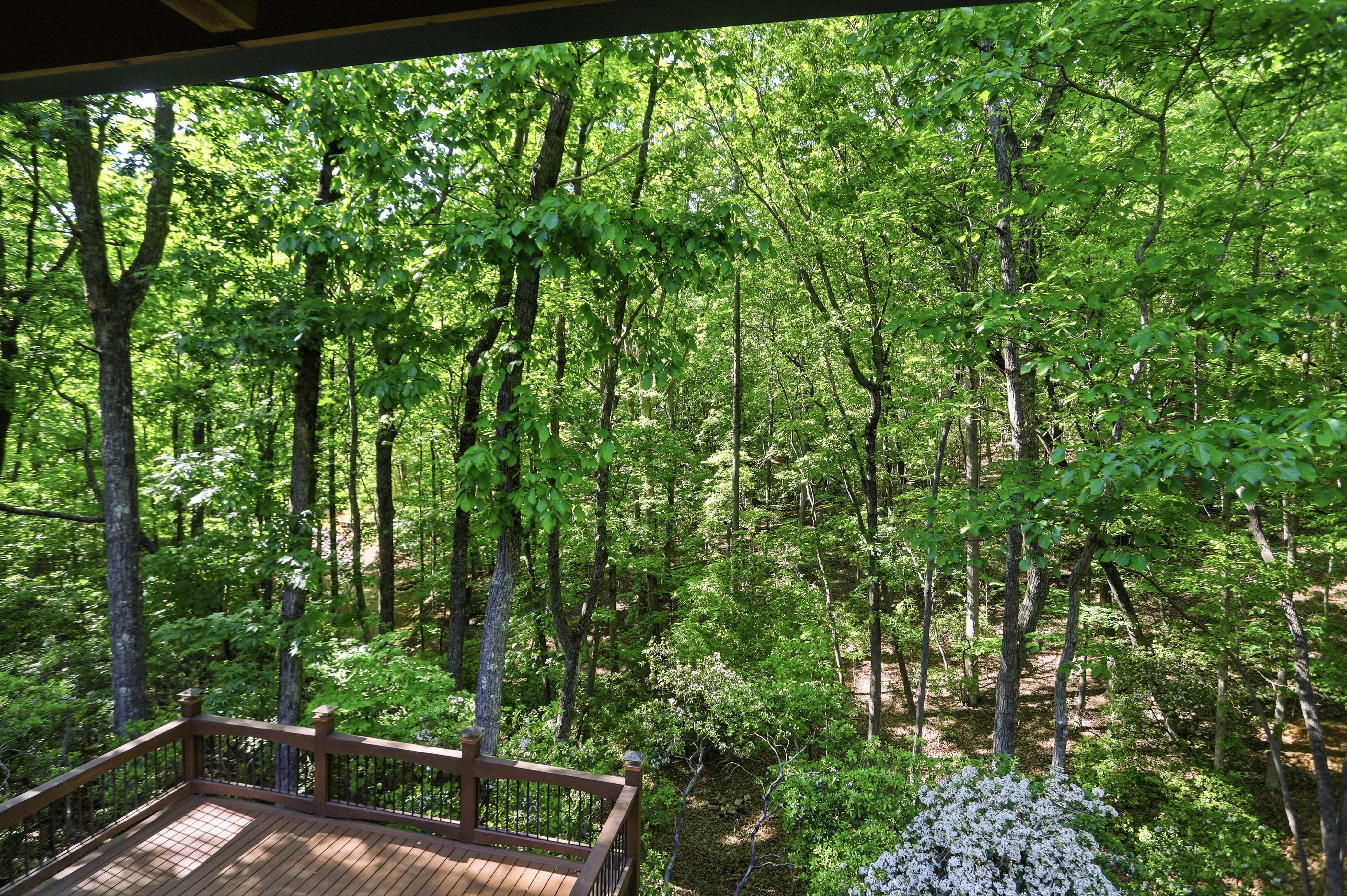 Photo 36 of 36 of 702 Ranch Mountain Dr, Dahlonega, GA