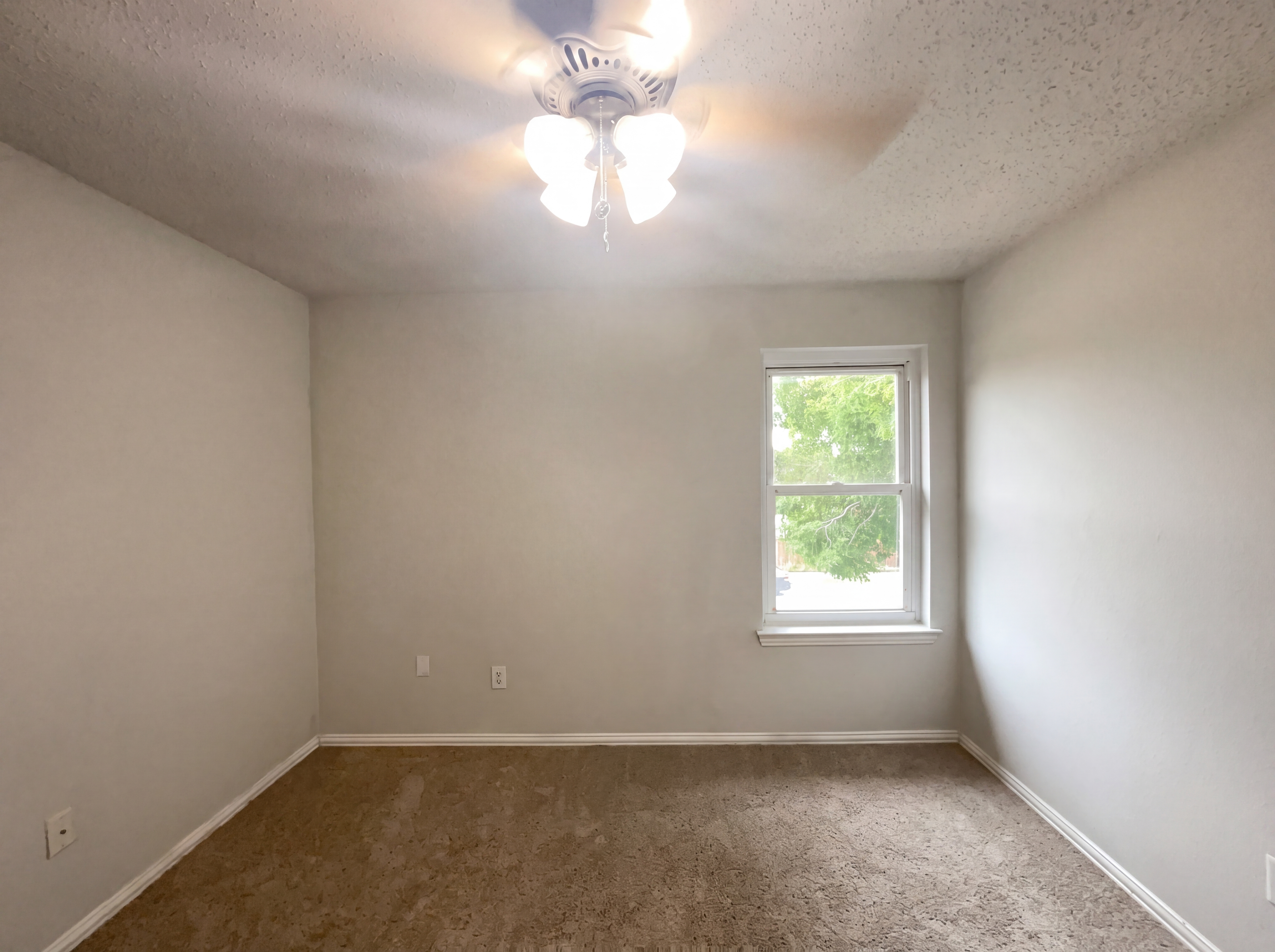 Photo 12 of 19 of 1405 Turtle Cove Dr, Little Elm, TX