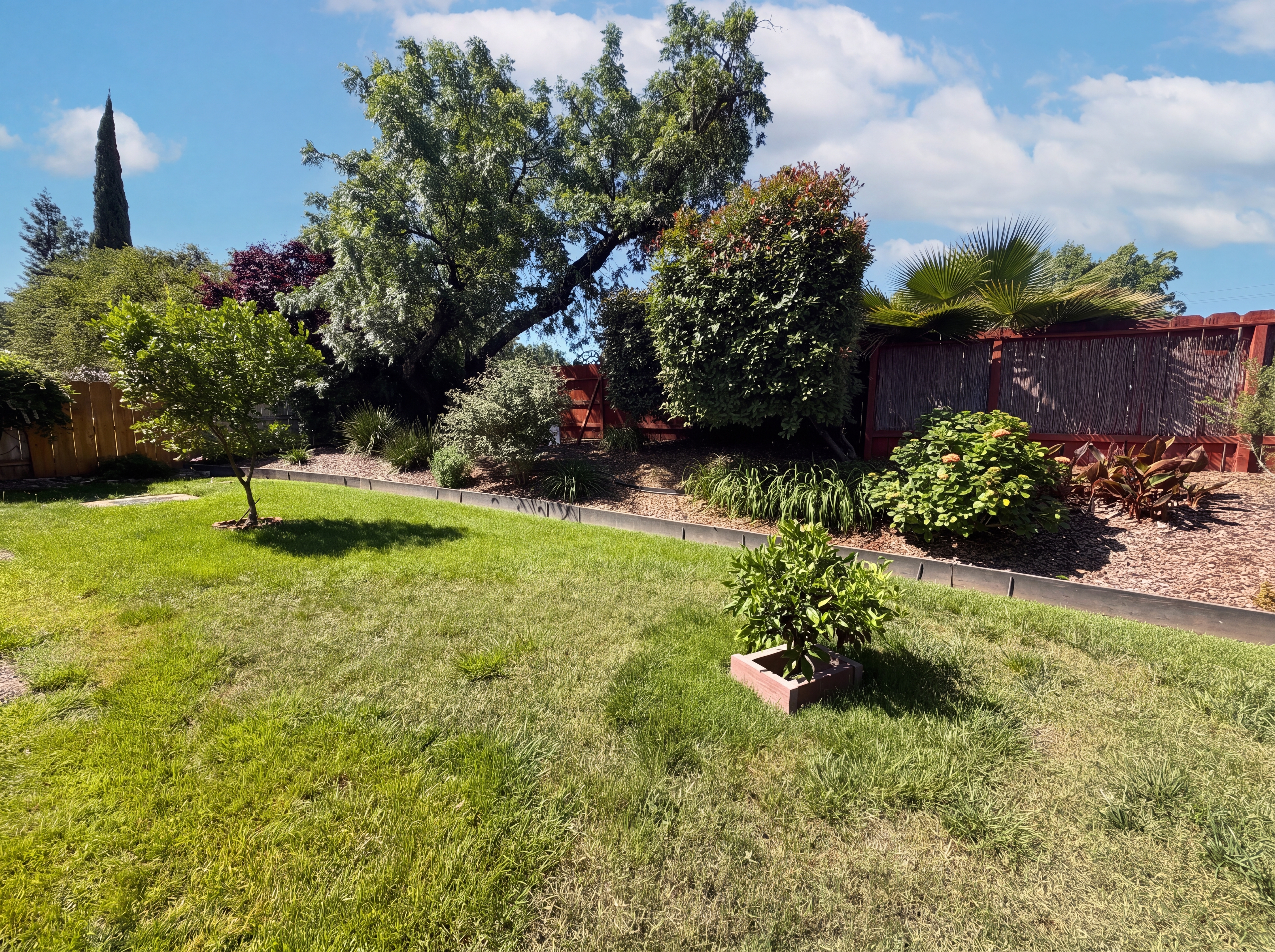 Photo 19 of 20 of 831 Shepard Ln, Chico, CA