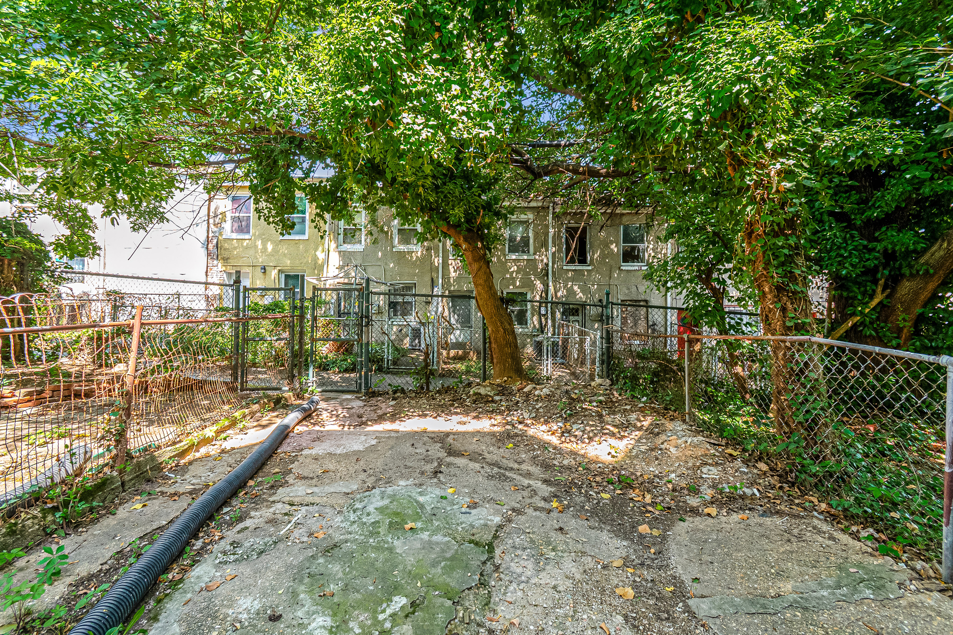 Photo 19 of 22 of 1135 Myrtle Ave, Baltimore, MD