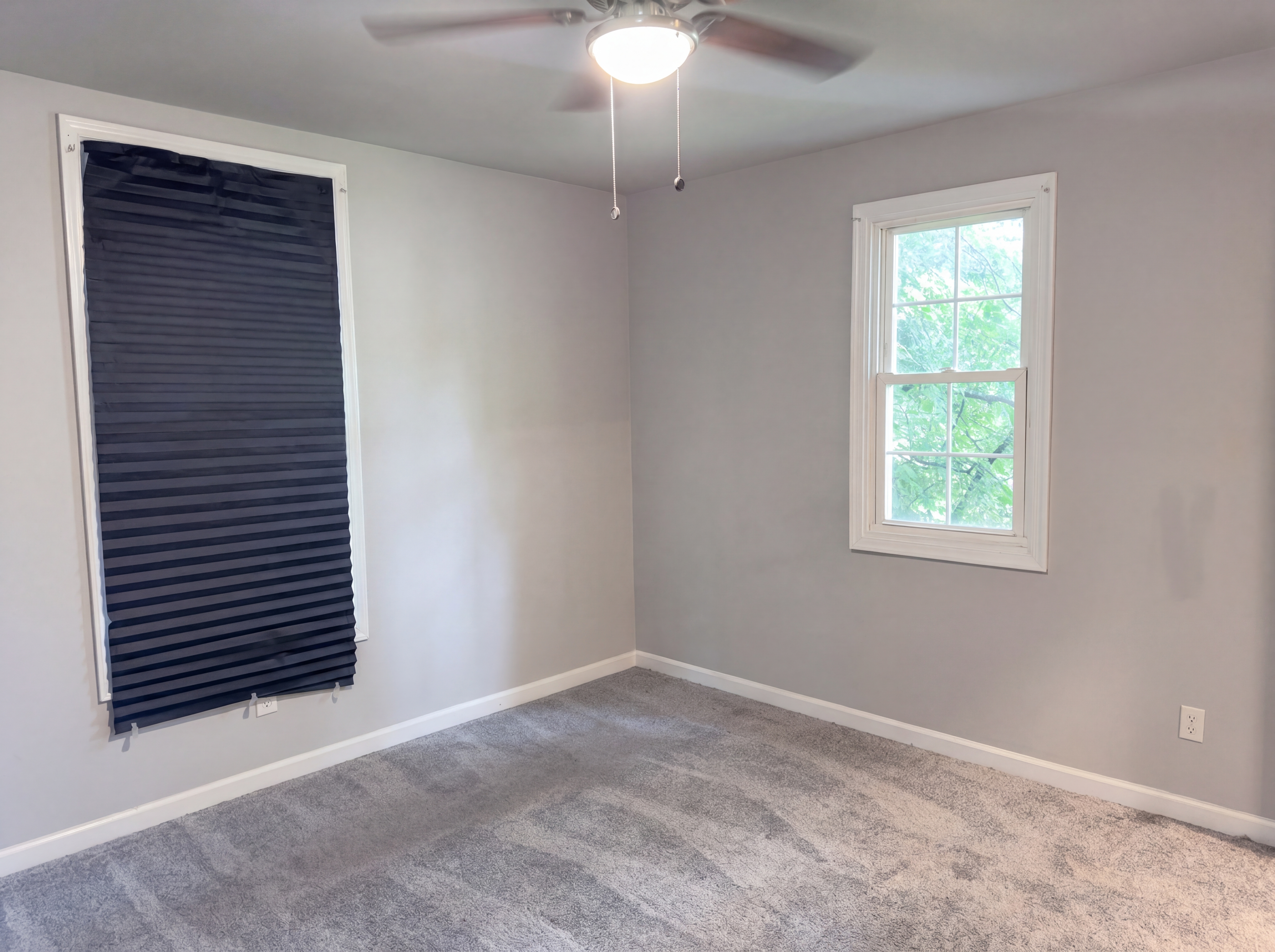 Photo 6 of 24 of 316 W Commerce St, Smyrna, DE