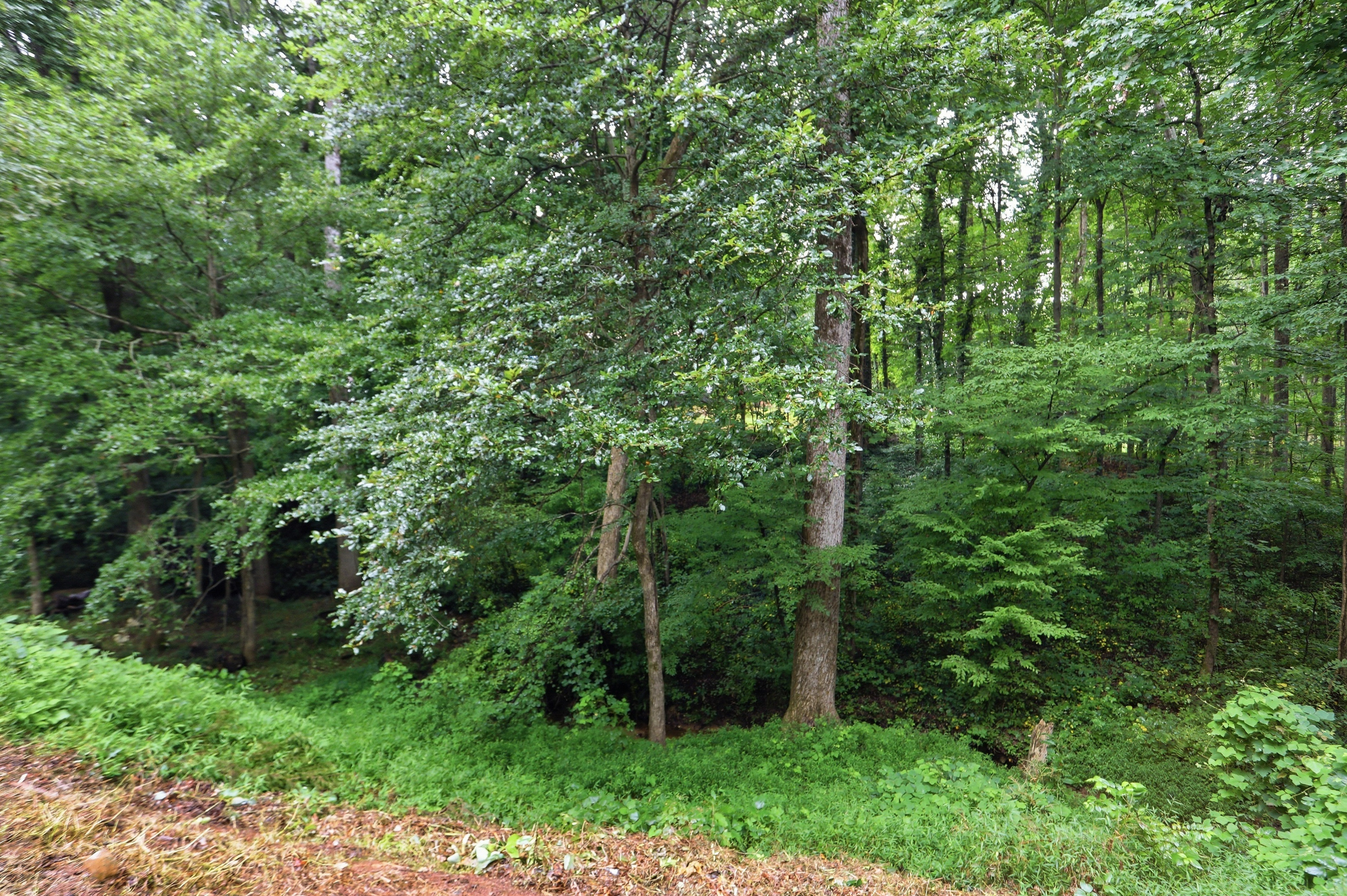 Photo 31 of 35 of 10283 Freehome Hwy, Canton, GA