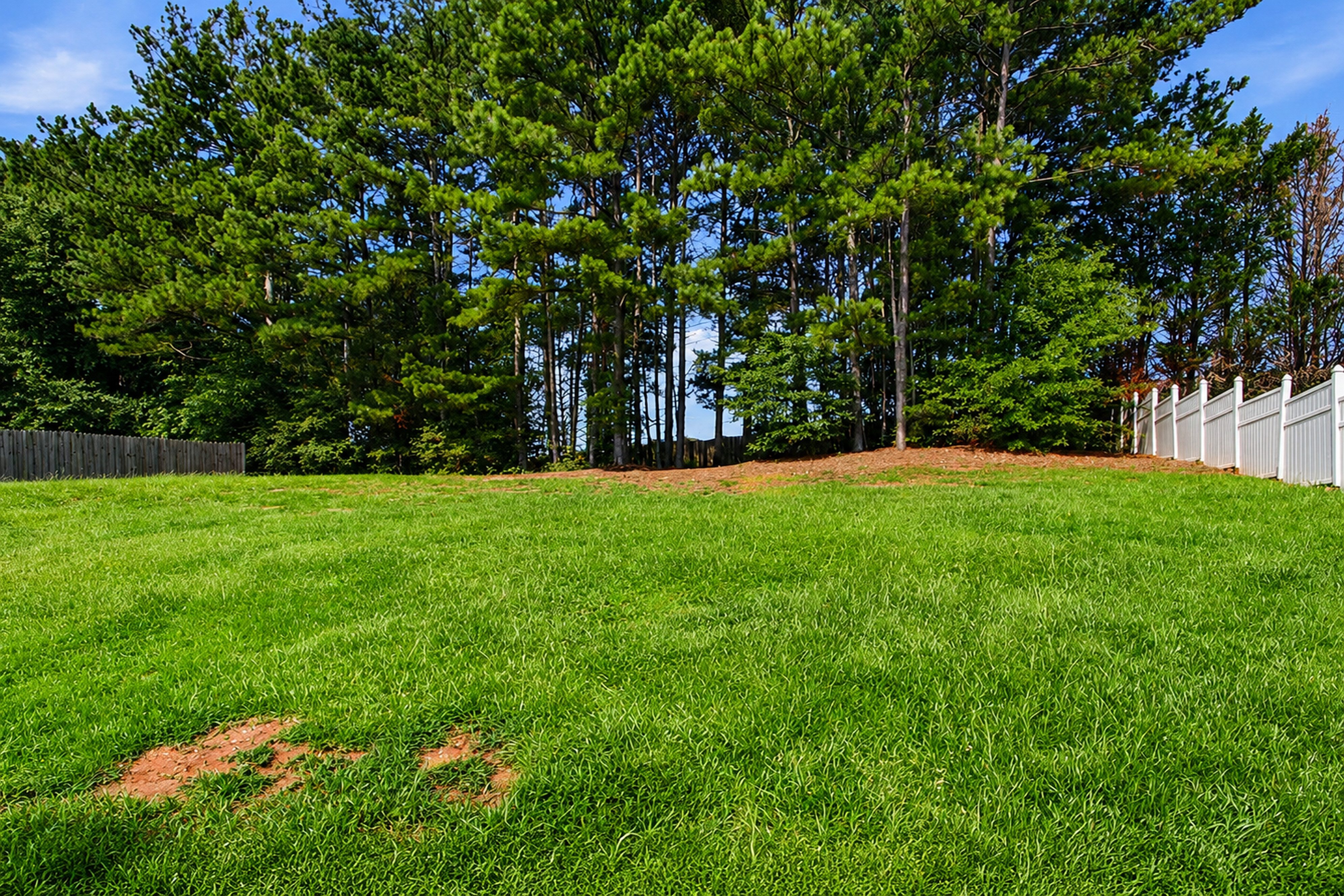 Photo 39 of 41 of 225 Avonlea Dr, Covington, GA