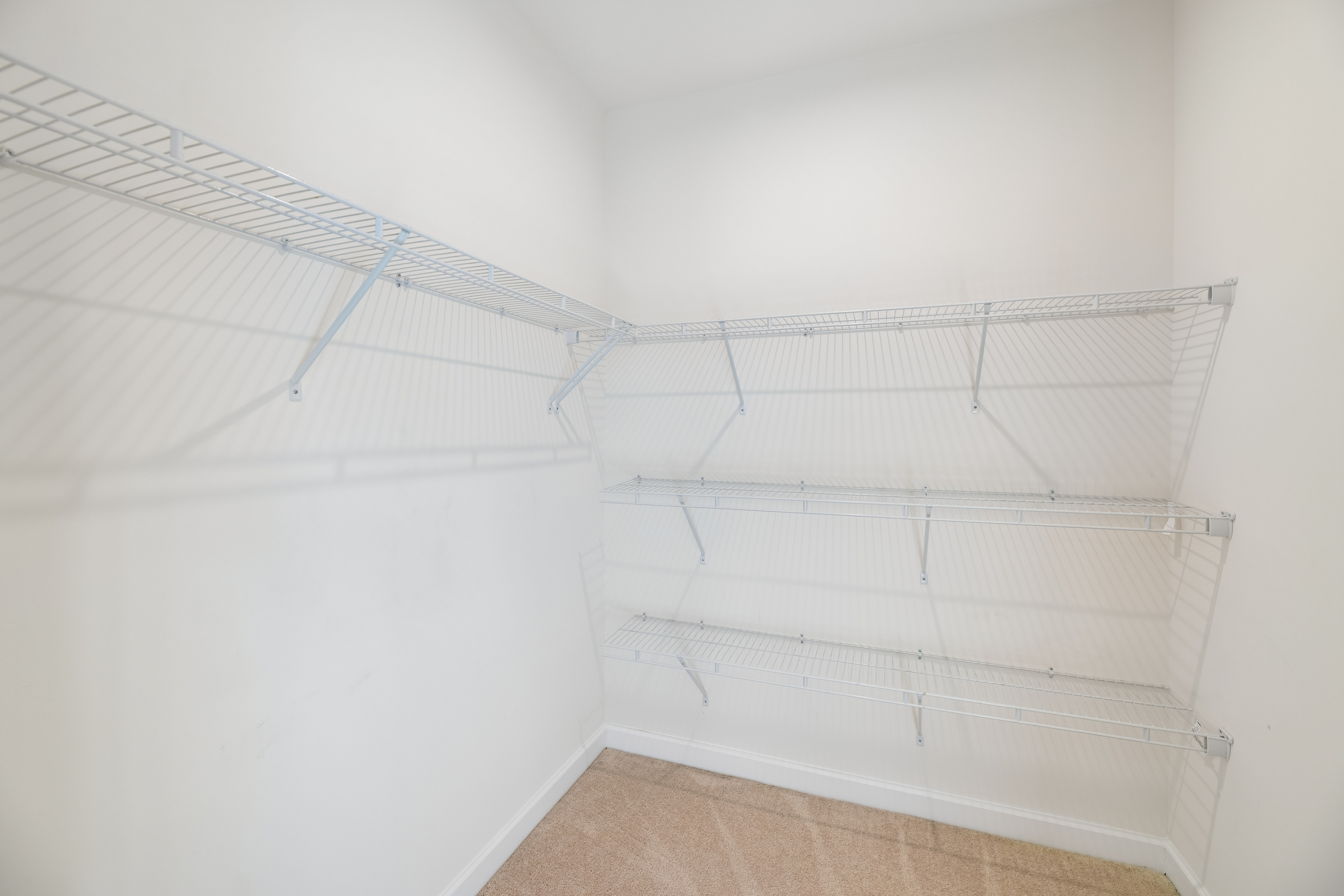 Photo 54 of 60 of 8124 Bock Farm Pl, Alexandria, VA