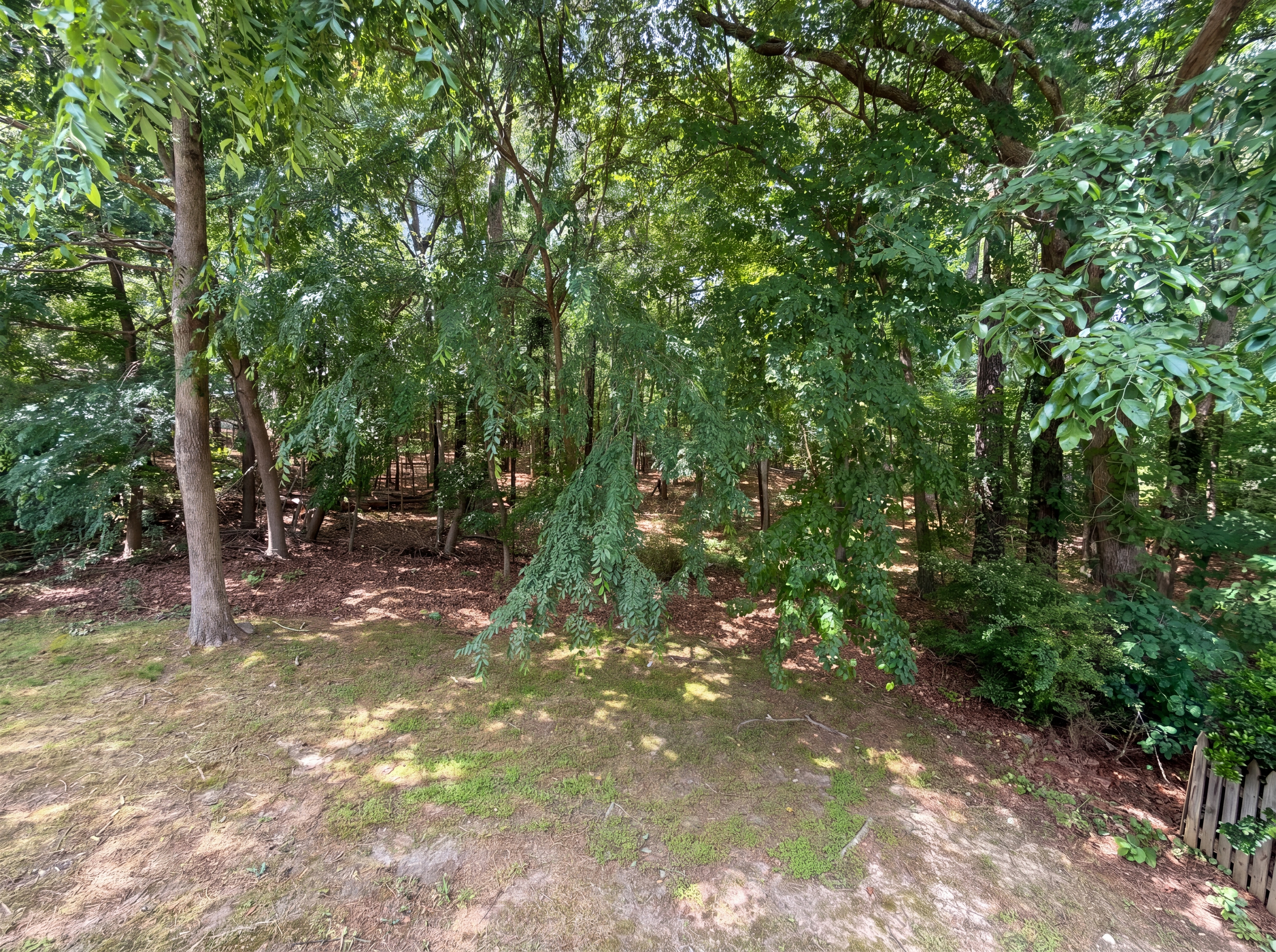 Photo 19 of 21 of 86 Hamilton Hedge Pl, Cary, NC