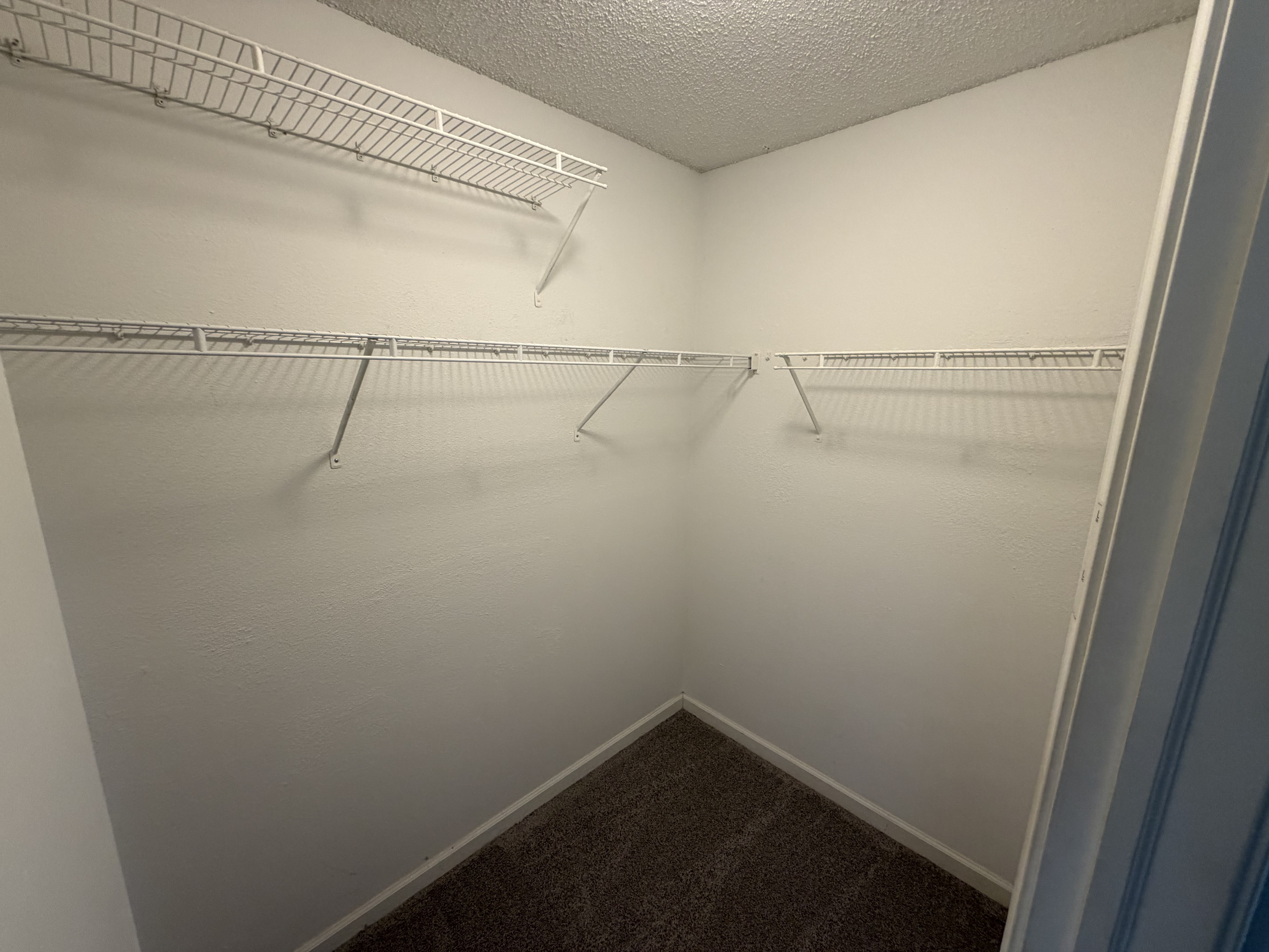 Photo 21 of 35 of 11307 Narrowleaf Dr, Indianapolis, IN