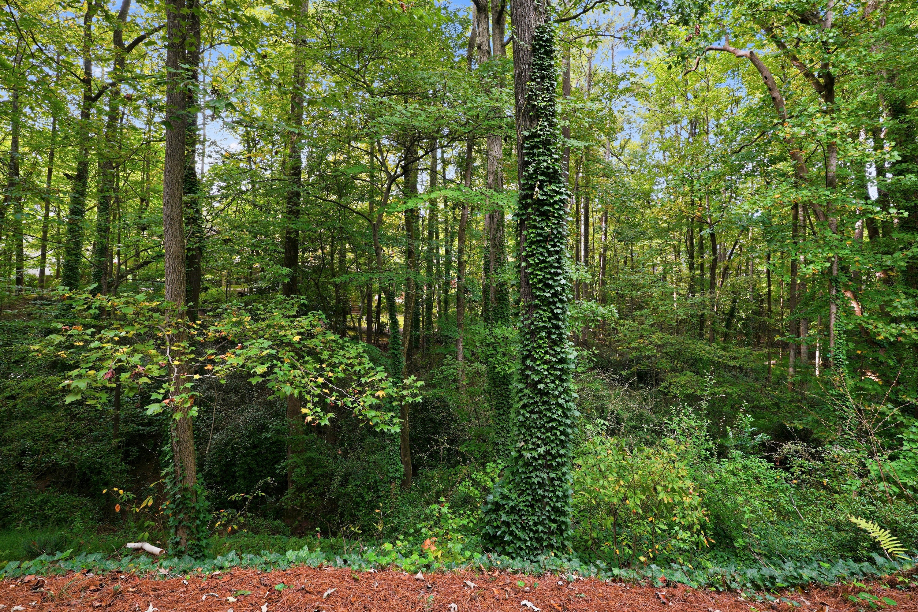 Photo 57 of 63 of 2360 Kimbrough Ct, Sandy Springs, GA