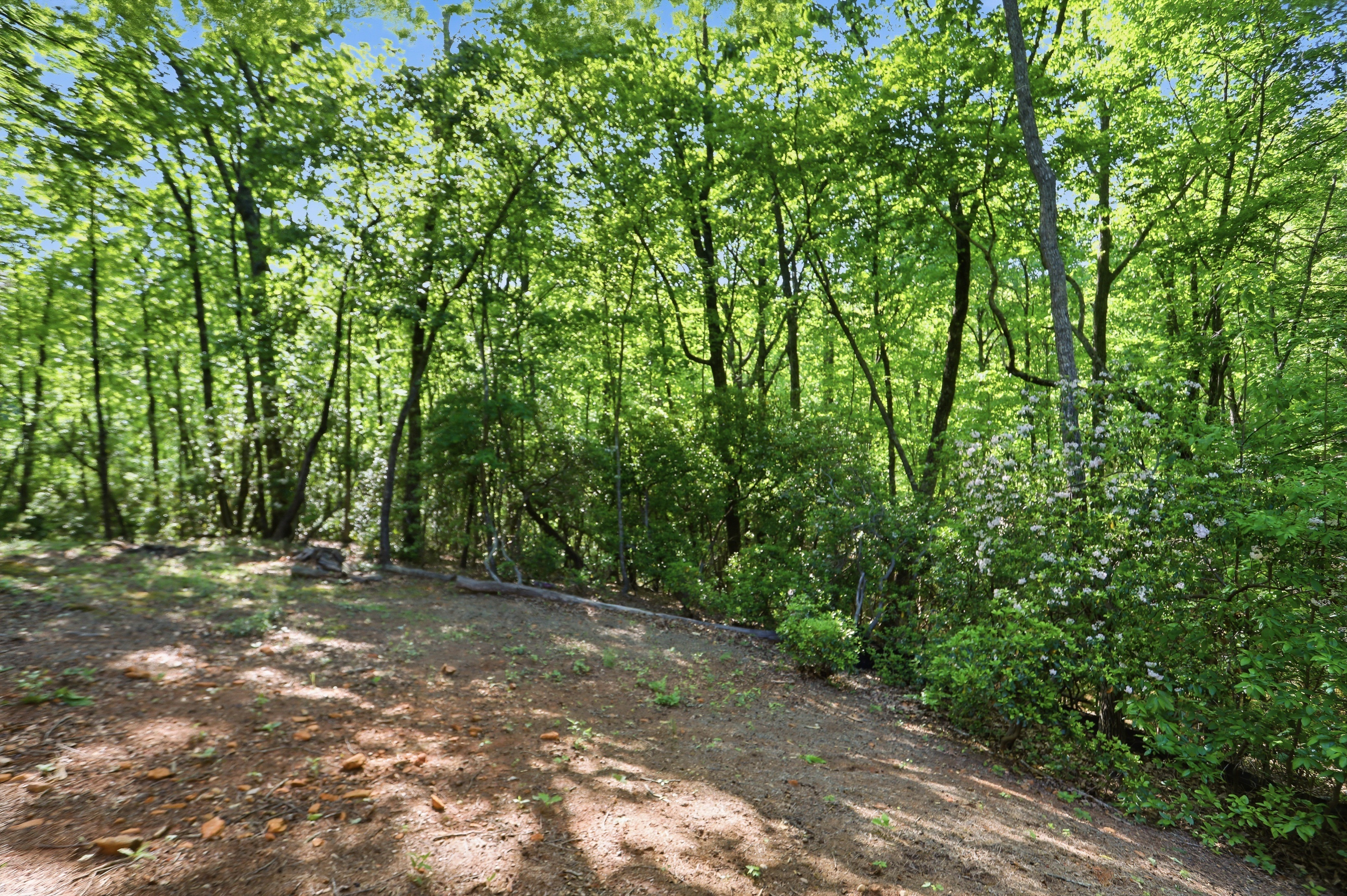 Photo 34 of 36 of 702 Ranch Mountain Dr, Dahlonega, GA