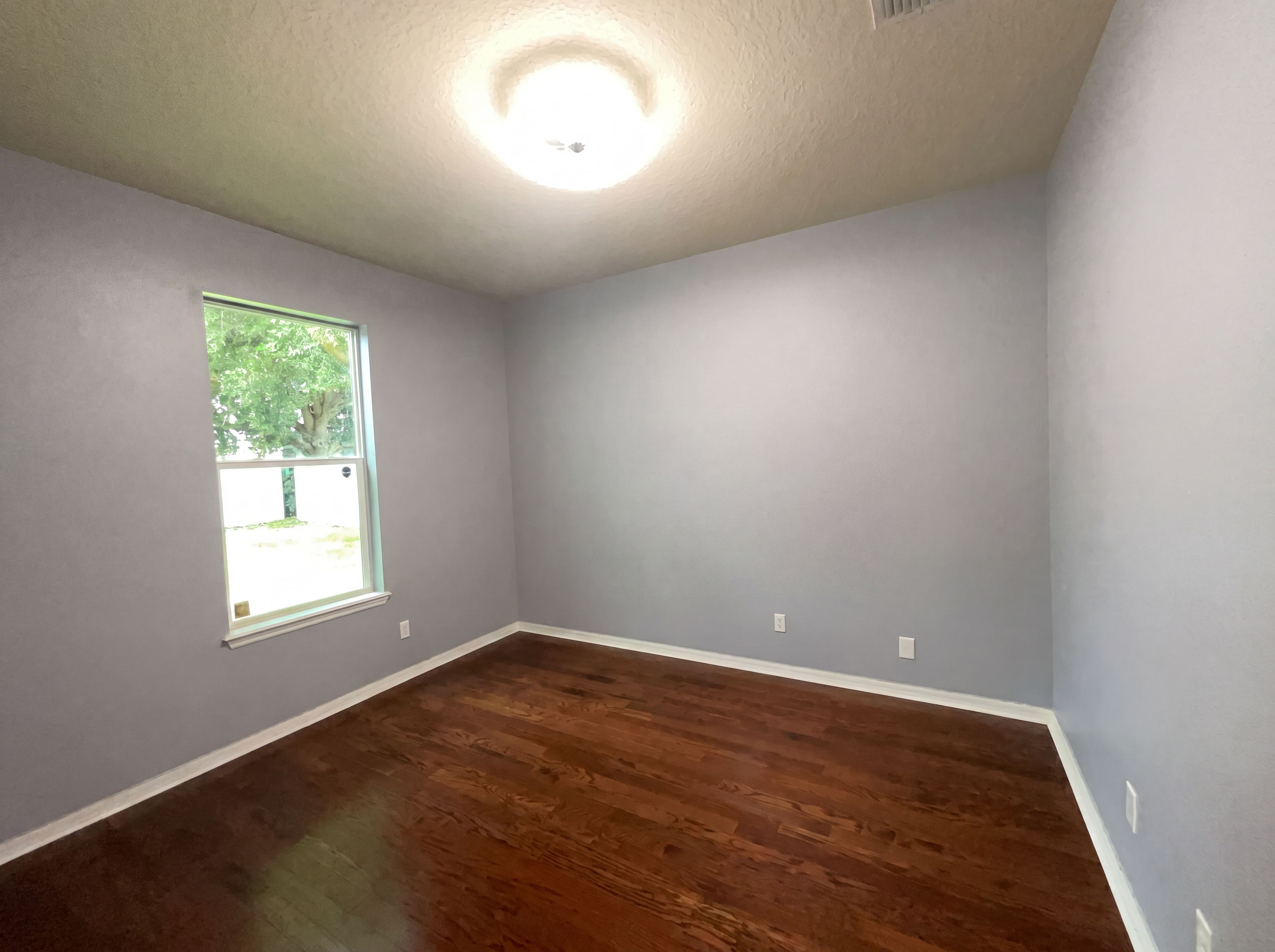 Photo 19 of 56 of 15130 Ovation Dr, Winter Garden, FL