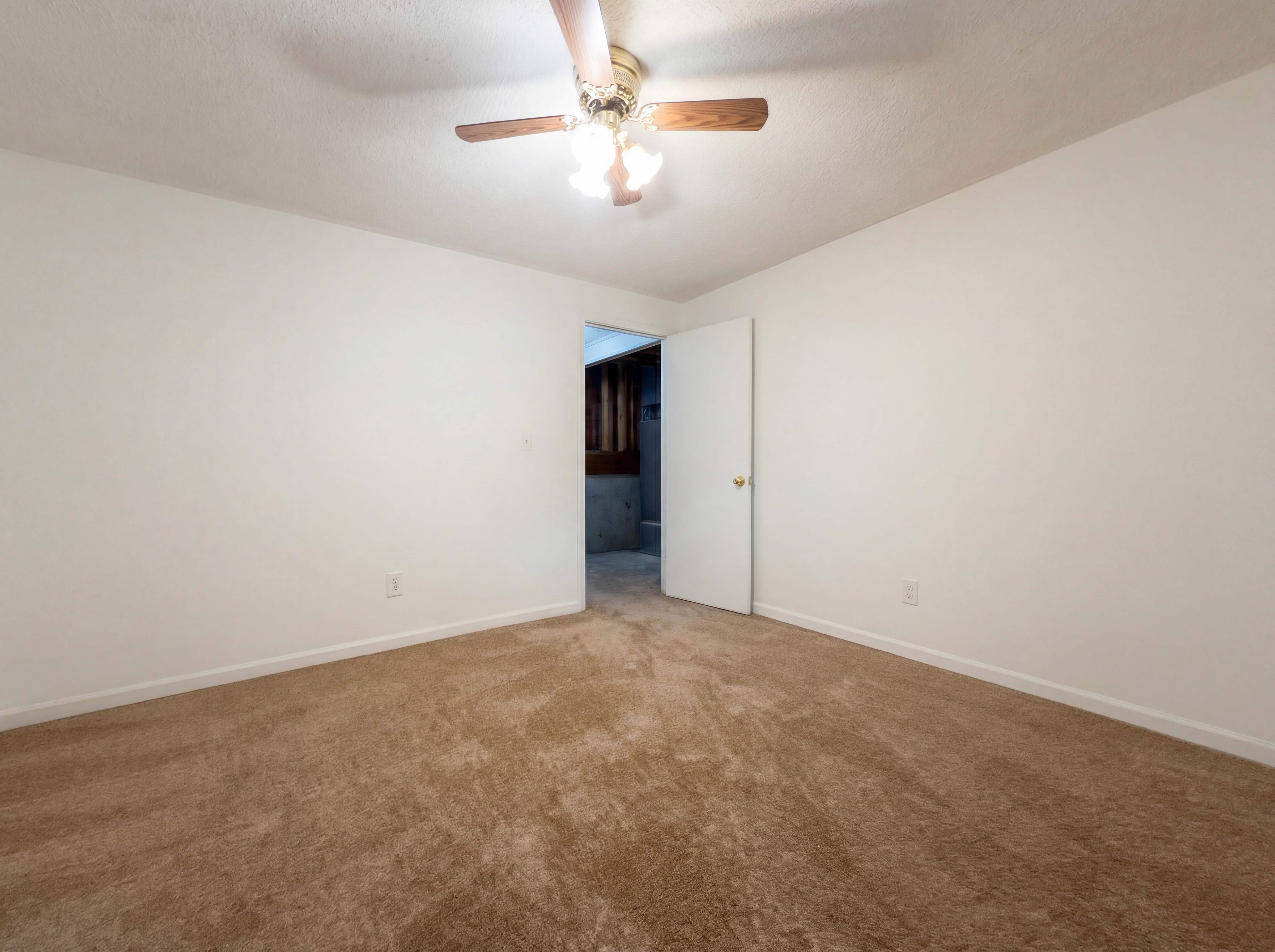Photo 4 of 27 of 14110 Lora St, Smithville, MO