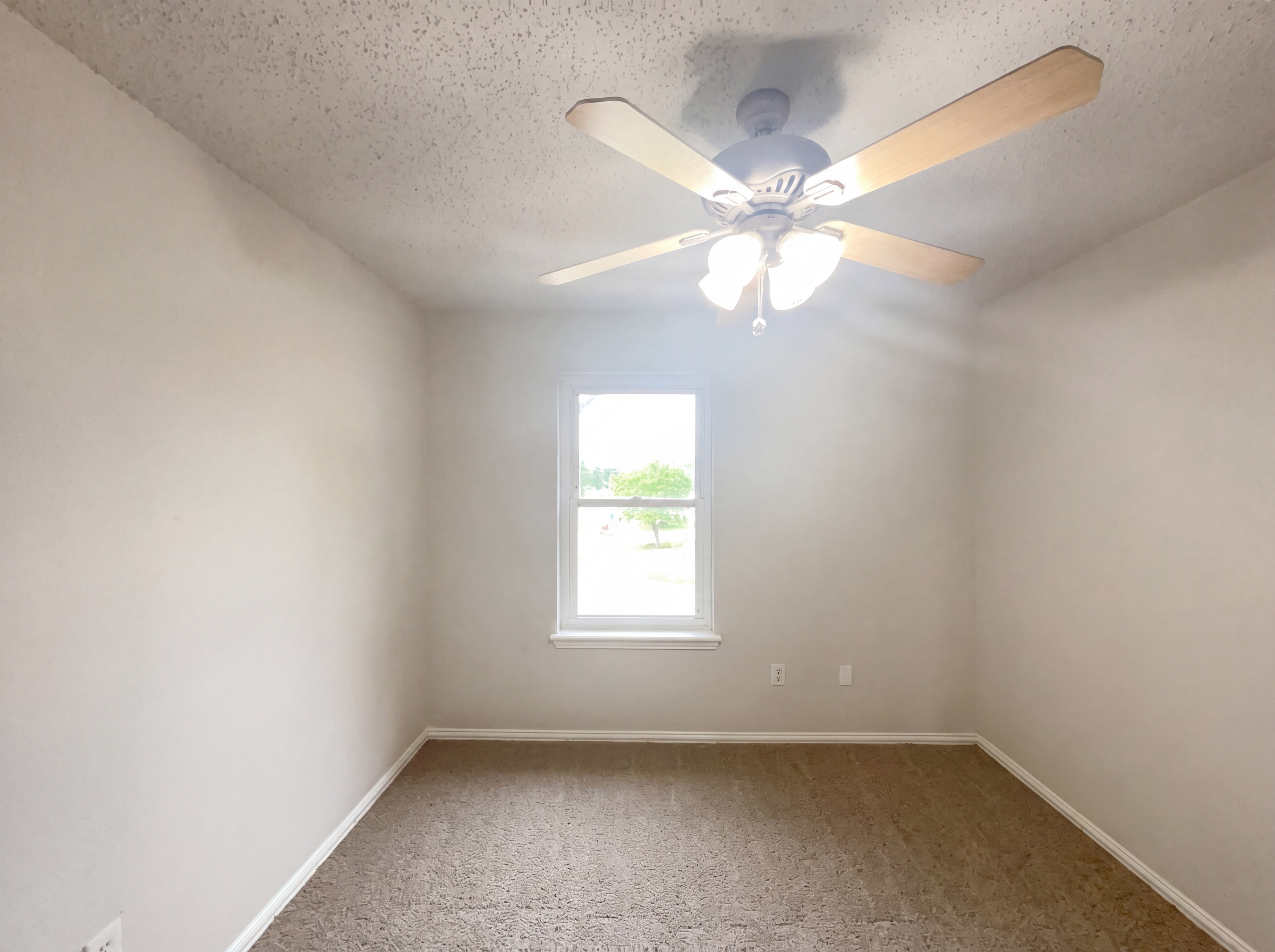 Photo 11 of 19 of 1405 Turtle Cove Dr, Little Elm, TX