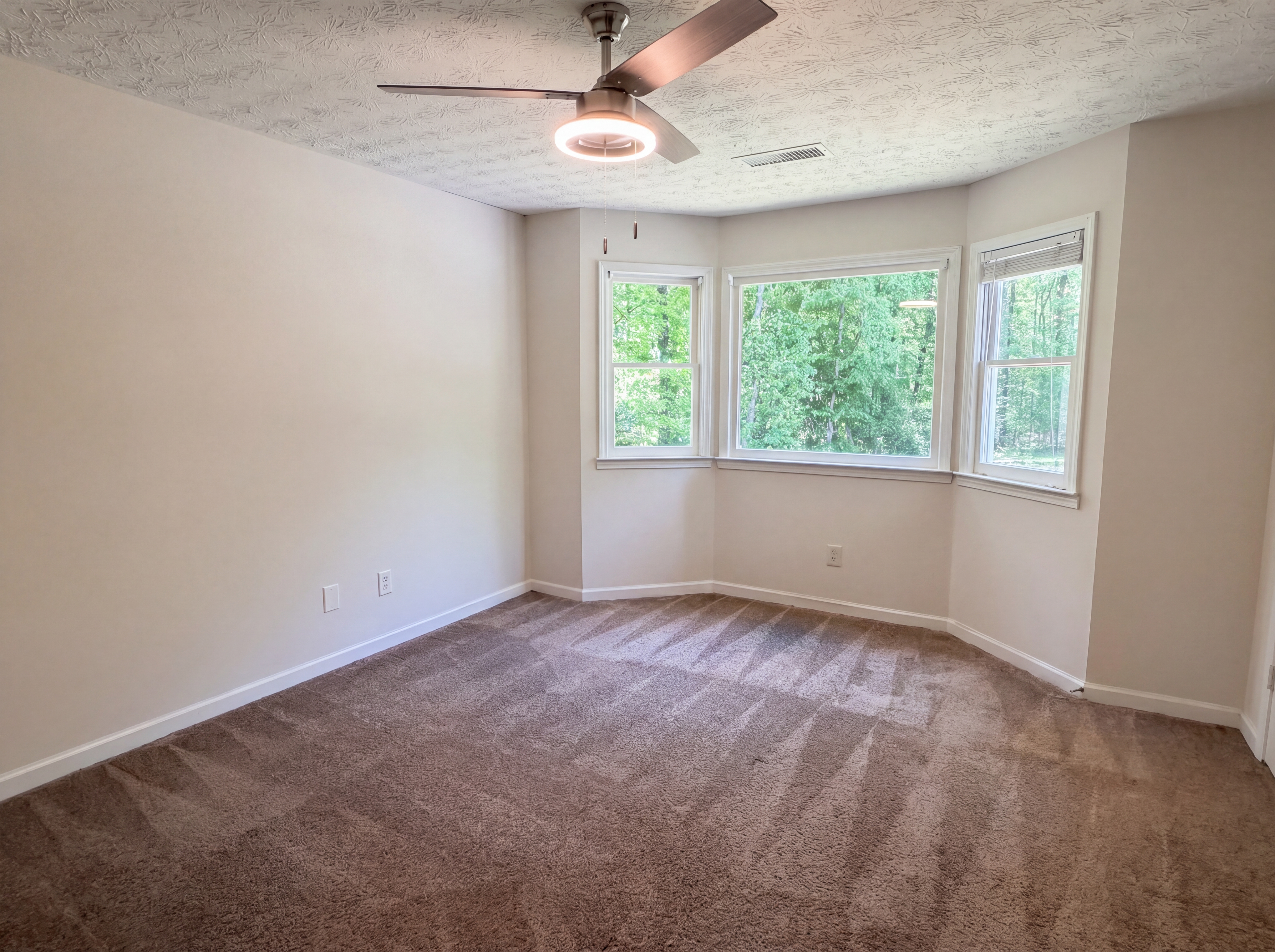 Photo 12 of 22 of 213 Carl Parker Rd, Hampton, GA