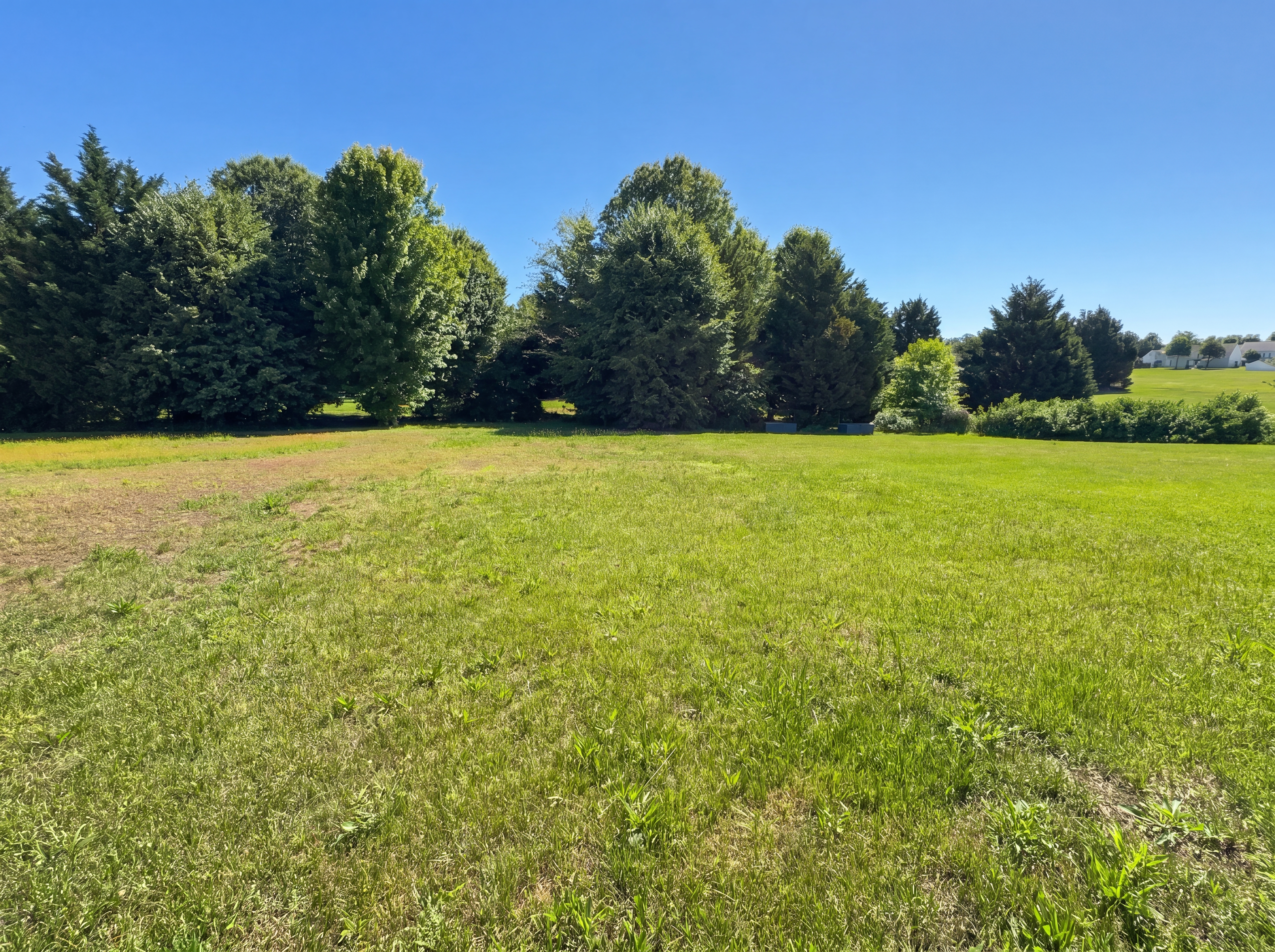 Photo 20 of 23 of 176 Bellflower Ln, Magnolia, DE