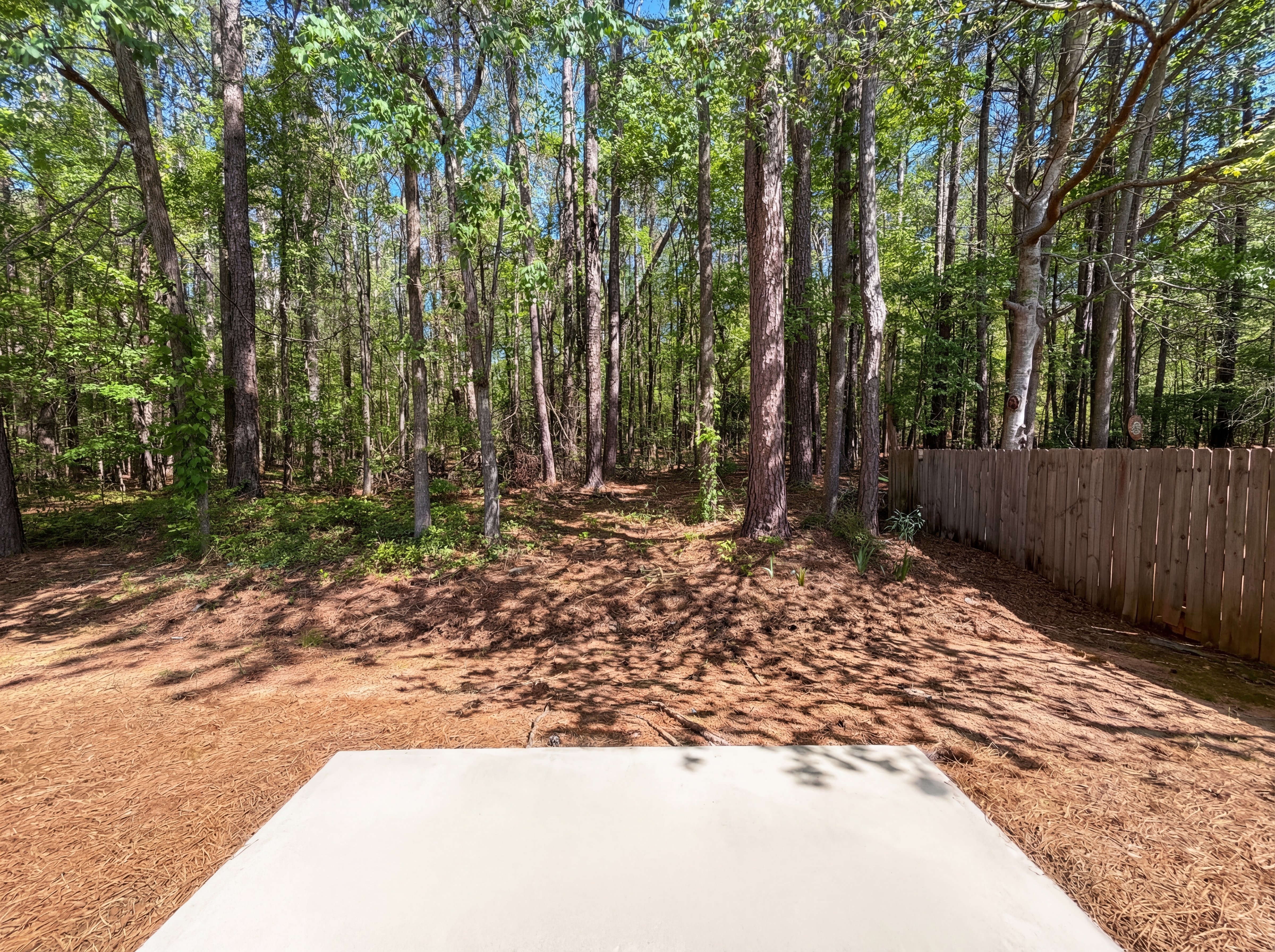 Photo 23 of 25 of 172 Watercress Ct, Stockbridge, GA