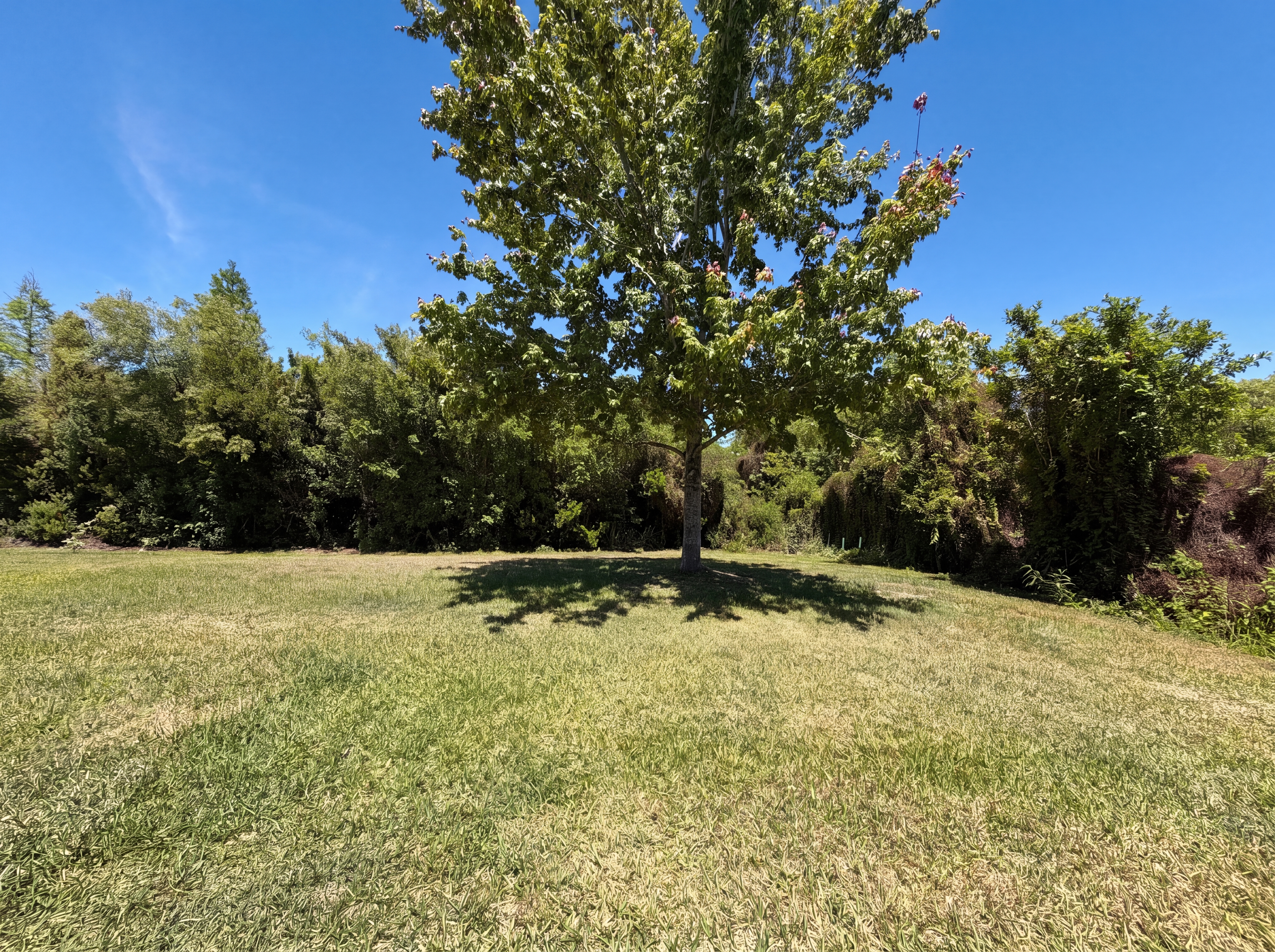 Photo 30 of 32 of 14405 Scottburgh Glen Dr, Wimauma, FL