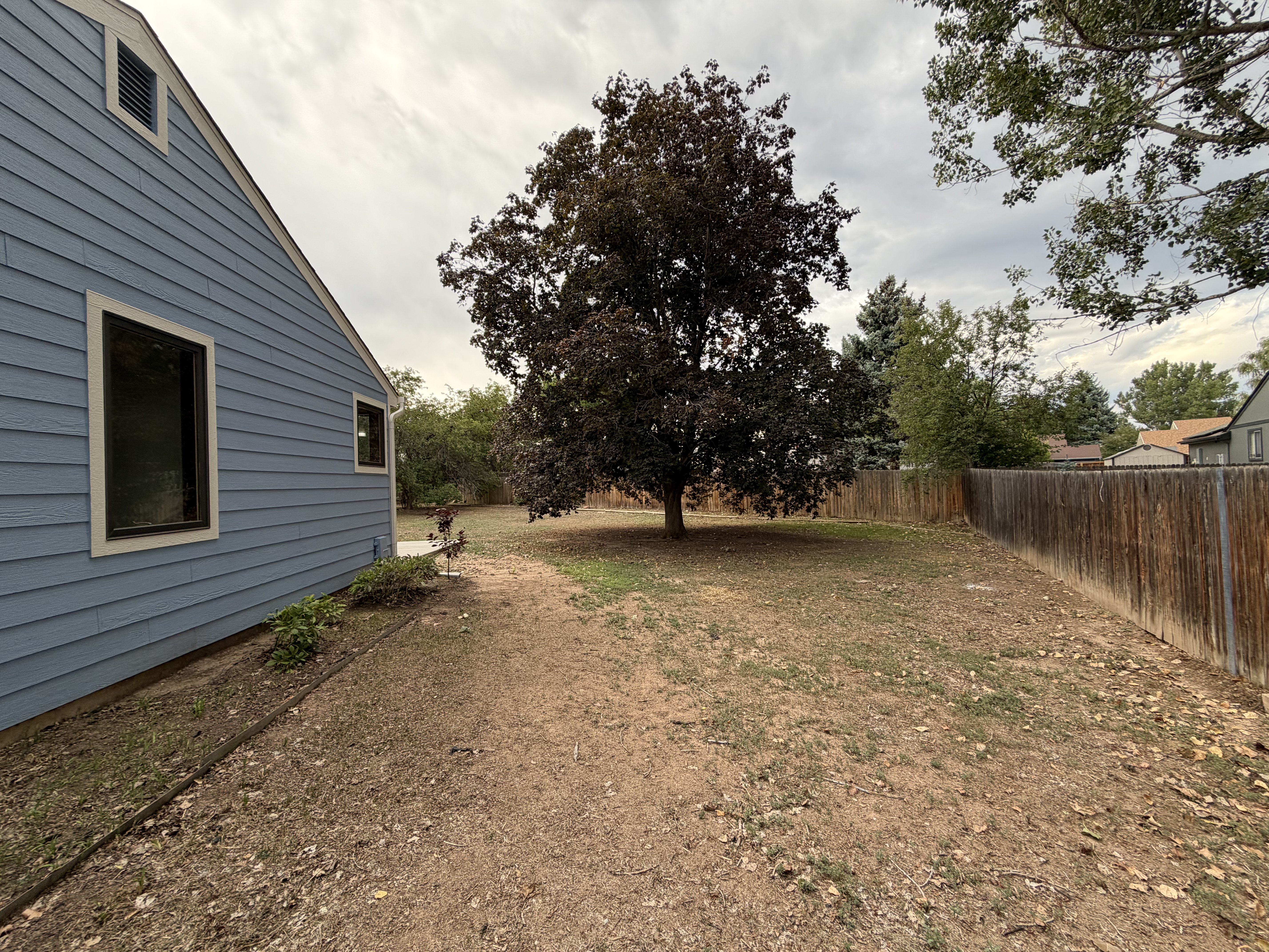 Photo 32 of 38 of 4449 Hollyhock St, Fort Collins, CO