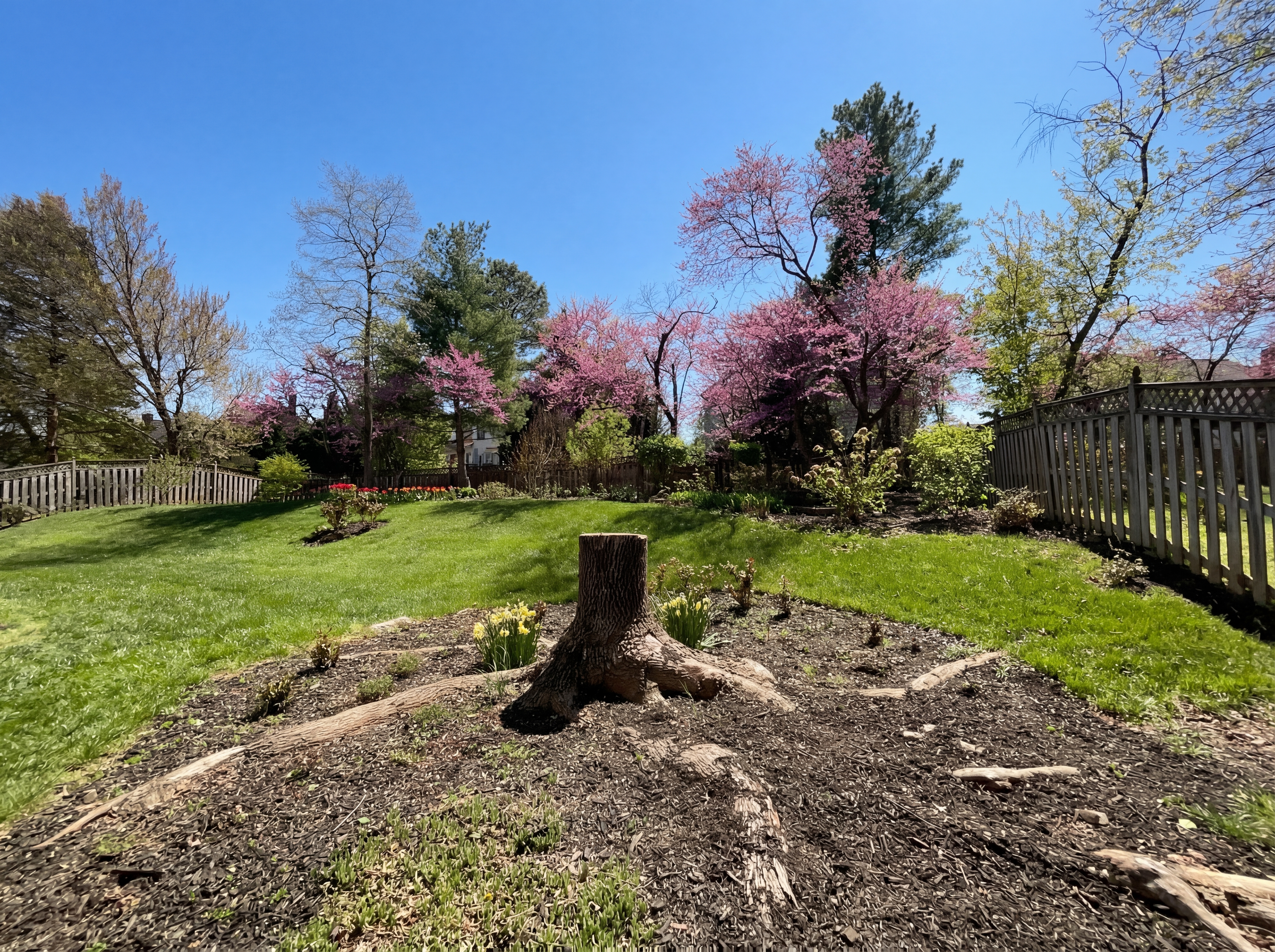 Photo 43 of 48 of 13907 Castle Ct, Chantilly, VA